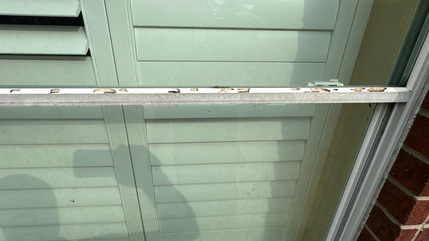 Mary Inspection by Boss Hogg Roofing