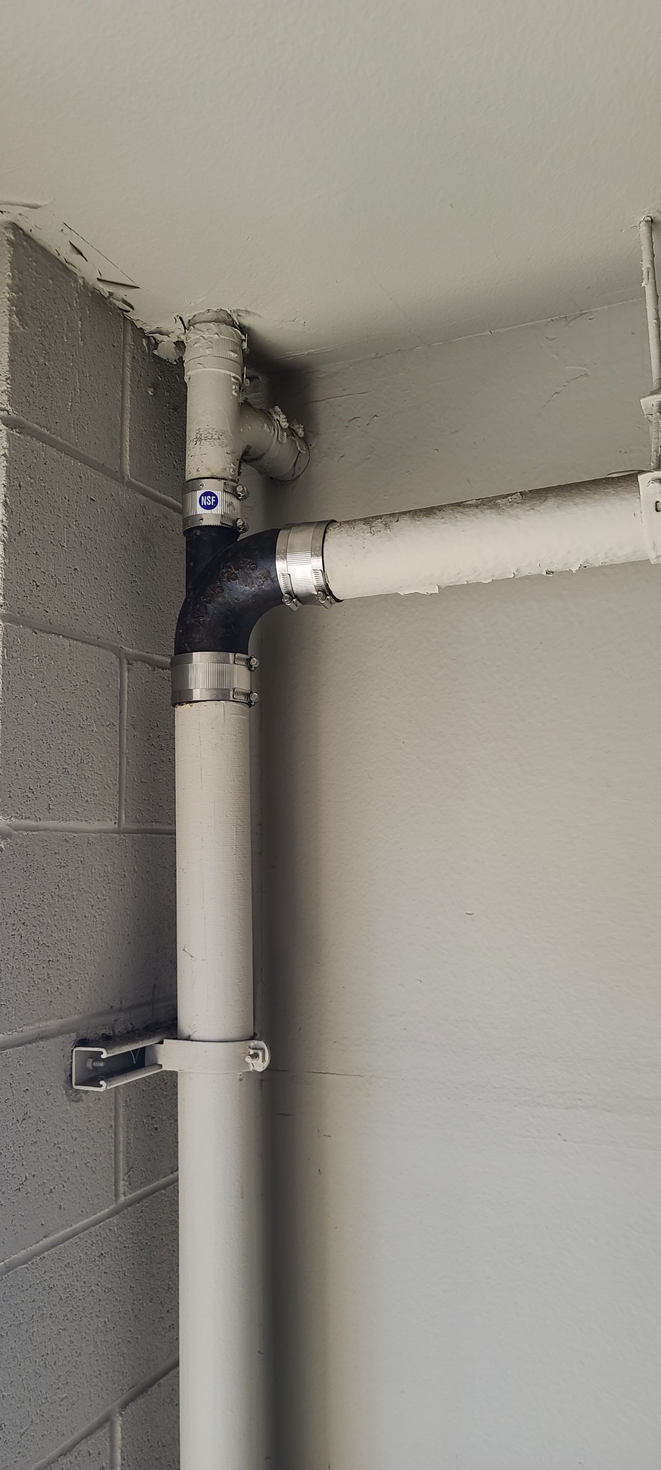 Rotted Drain Line  by Professional Plumbing Inc 