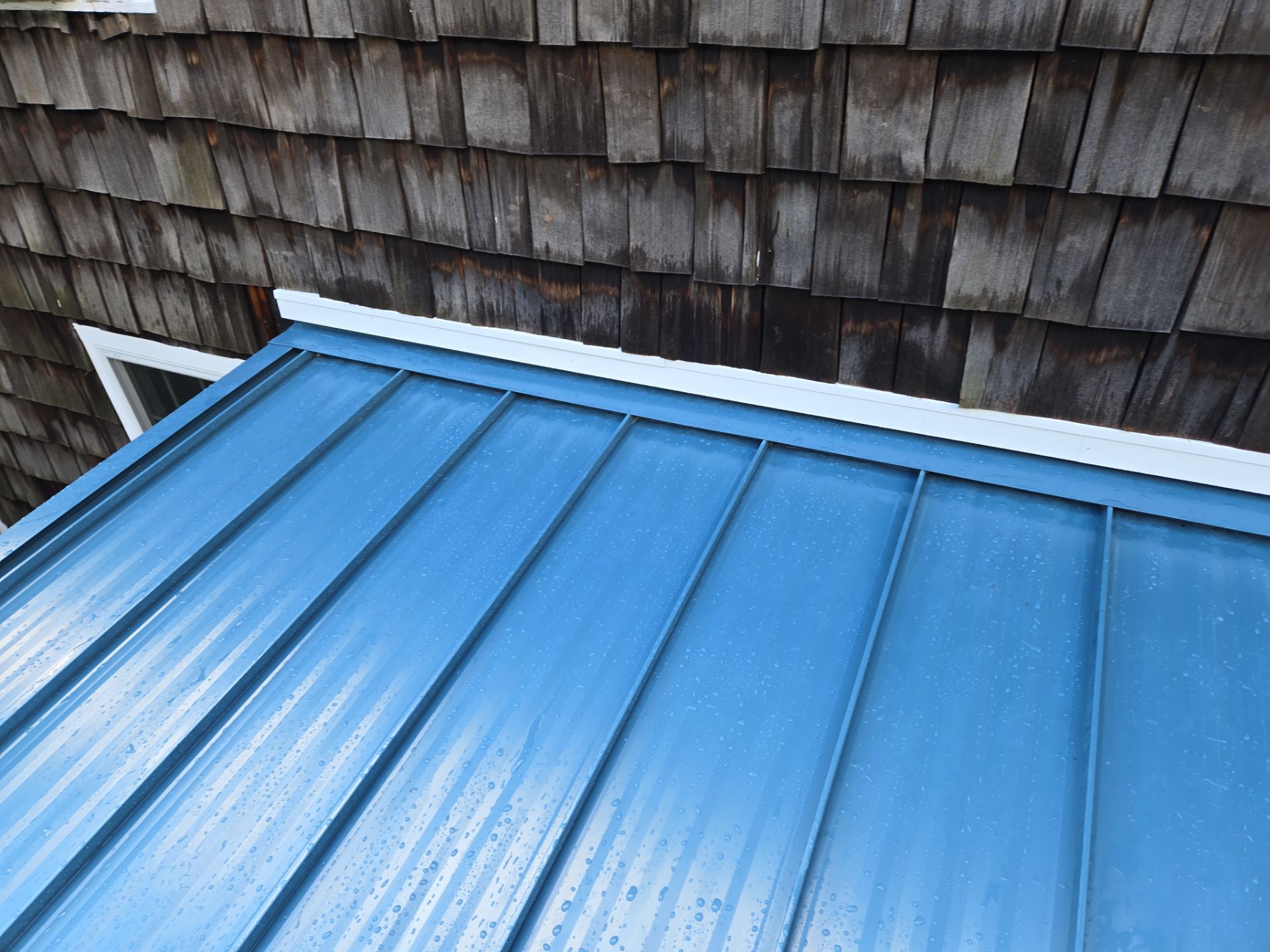 Addition, Exterior Siding, & Windows by Ivy Lea Construction