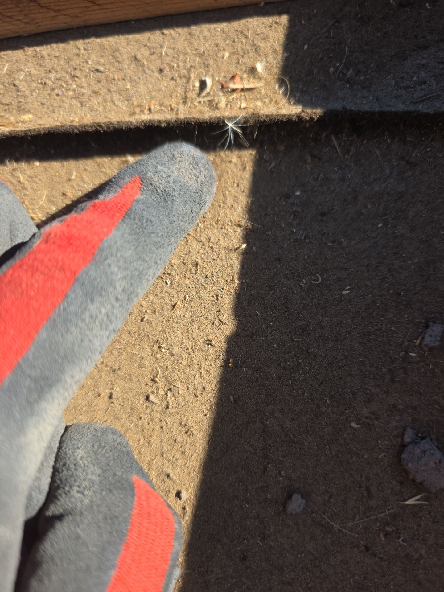 Gold Canyon Tile Reset by Weather-Tite Roofing