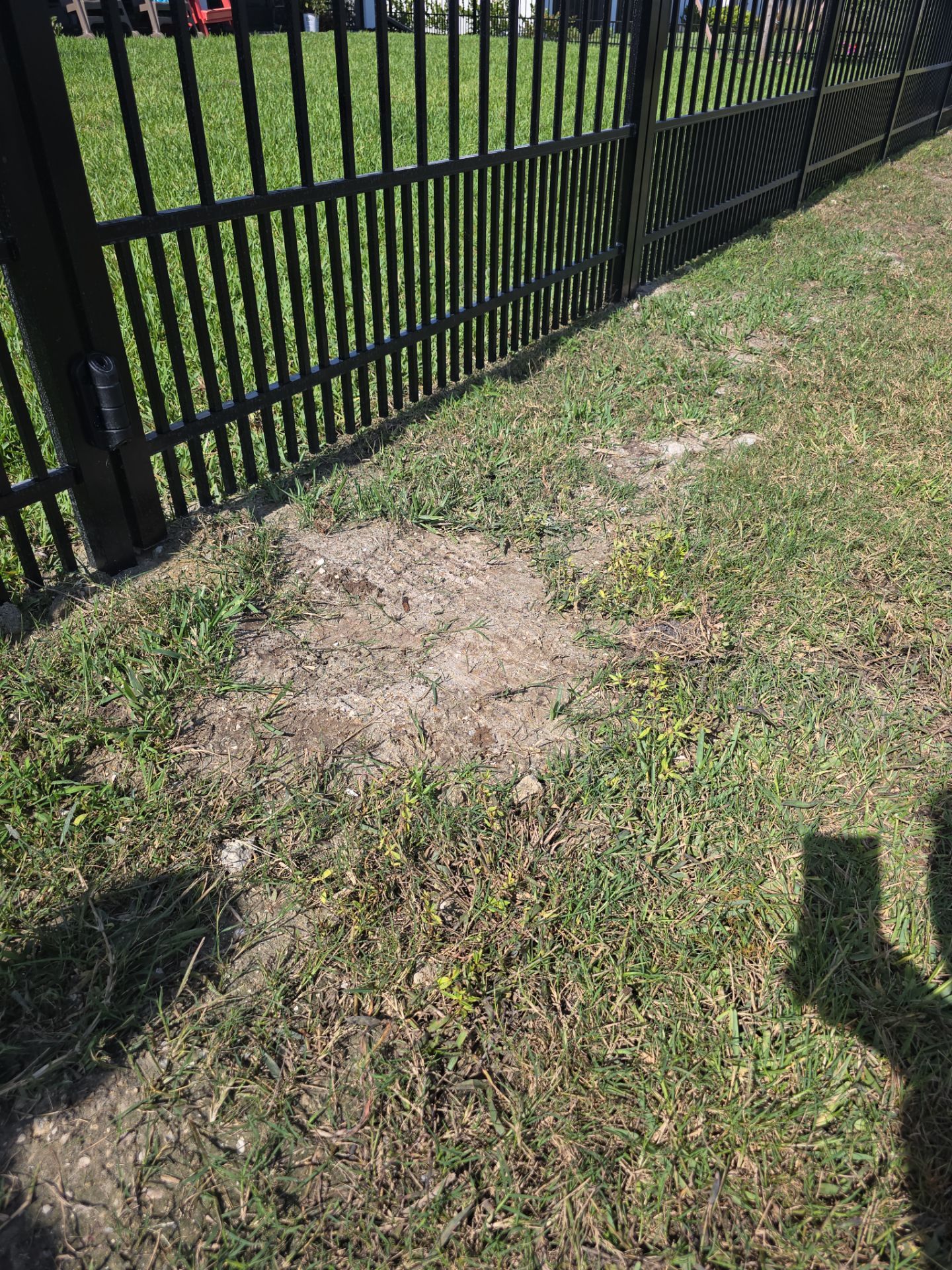 Puppy Picket Aluminum in Venice by True Fence LLC