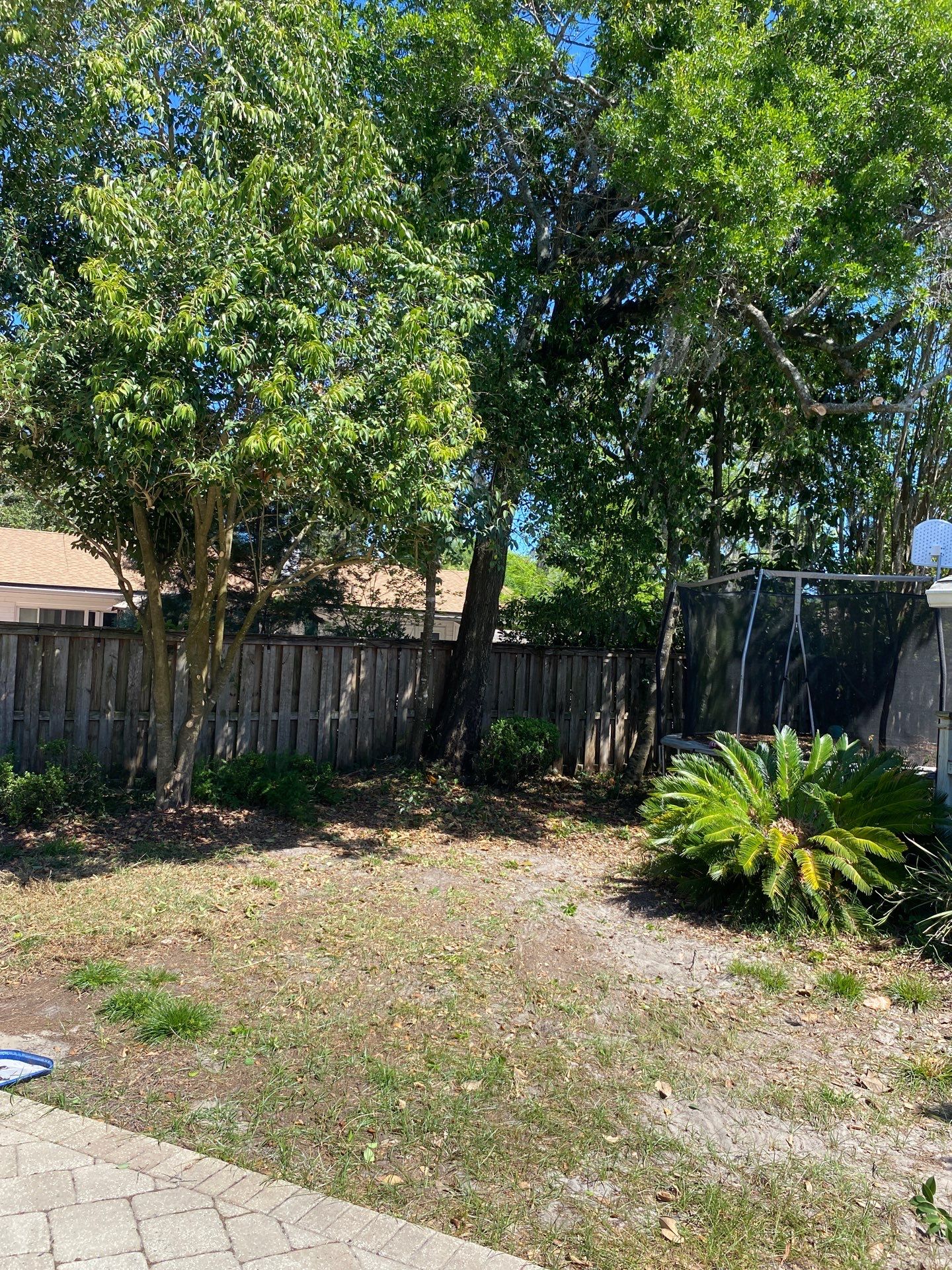 Residential | Tree Removal & Trimming by ProGreen Services