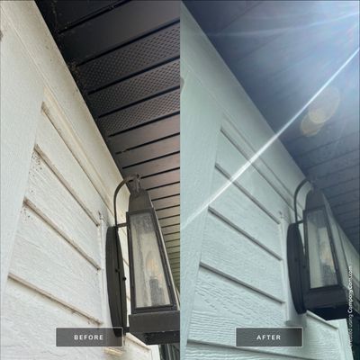 Project in Palatine