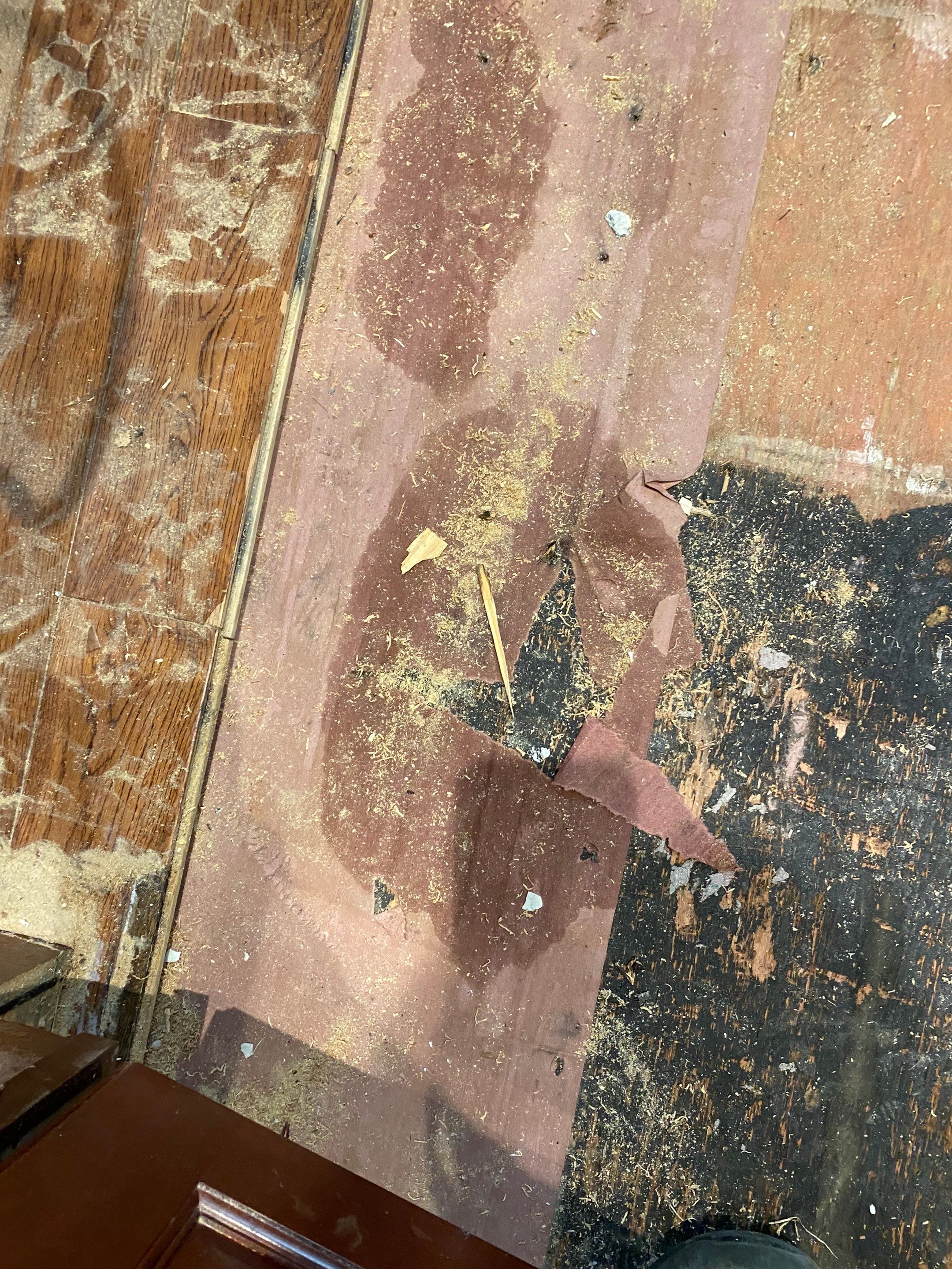 maria aguilera by Unlimited Fire Restoration