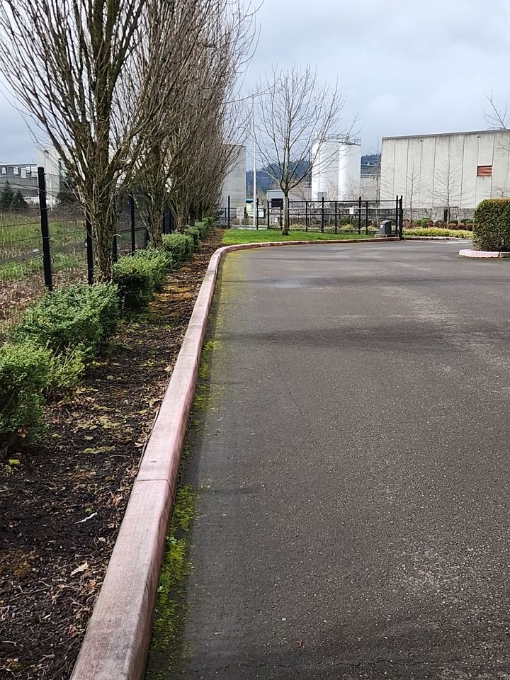 Soft Wash using Soft wash solution by Willamette Outdoor Wash LLC