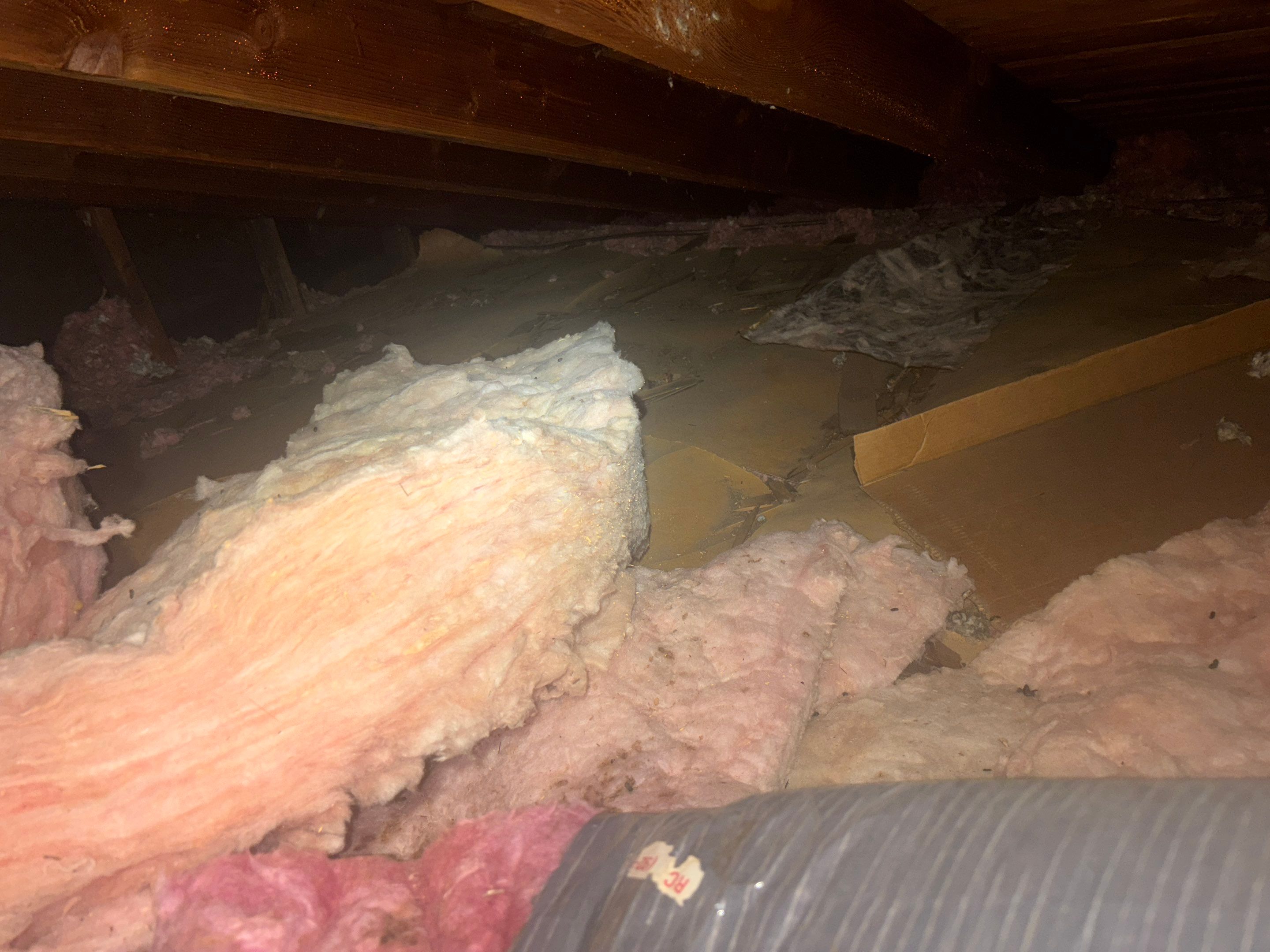 Project in Rolling Hills Estates by Insulation Labs