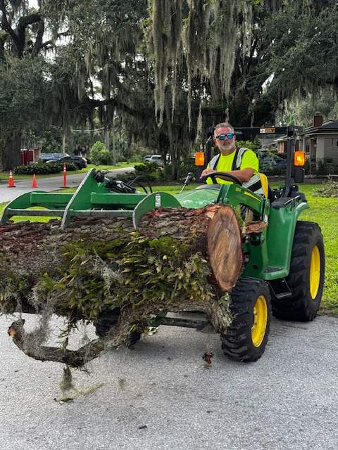 Tree Removal | Episcopal School of Jacksonville by ProGreen Services