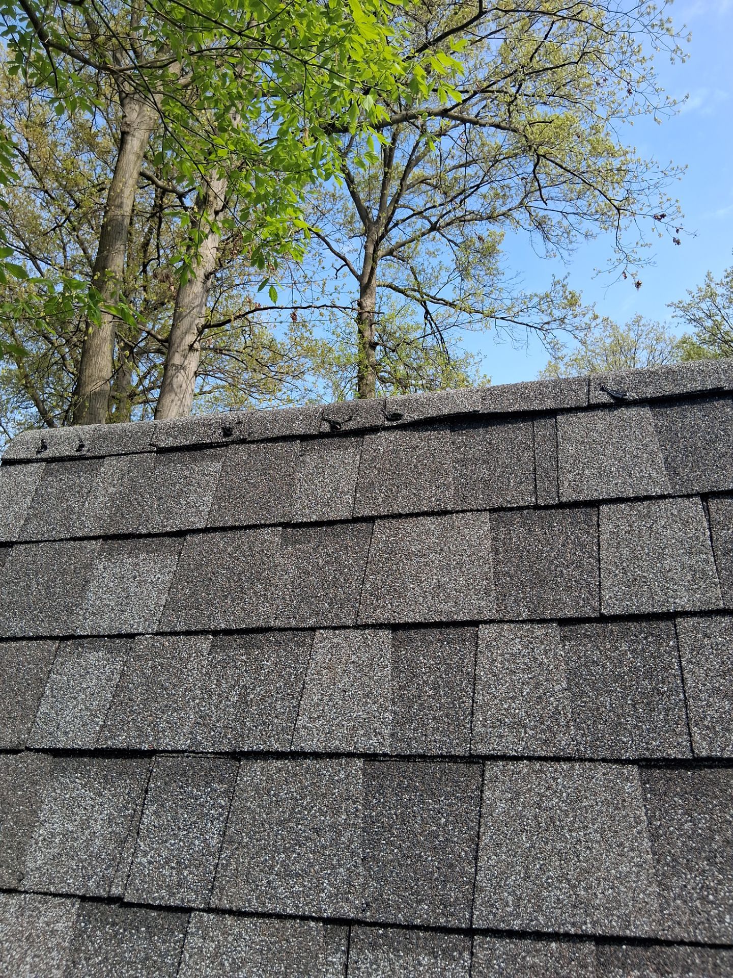 Roof and Gutter Replacement by Homestyle in Grafton by Homestyle Home Improvements (HHI)