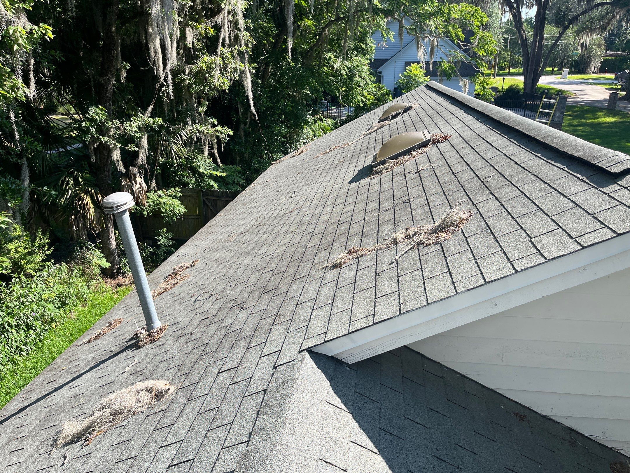 Shingle -> Shingle by Prime Roofing