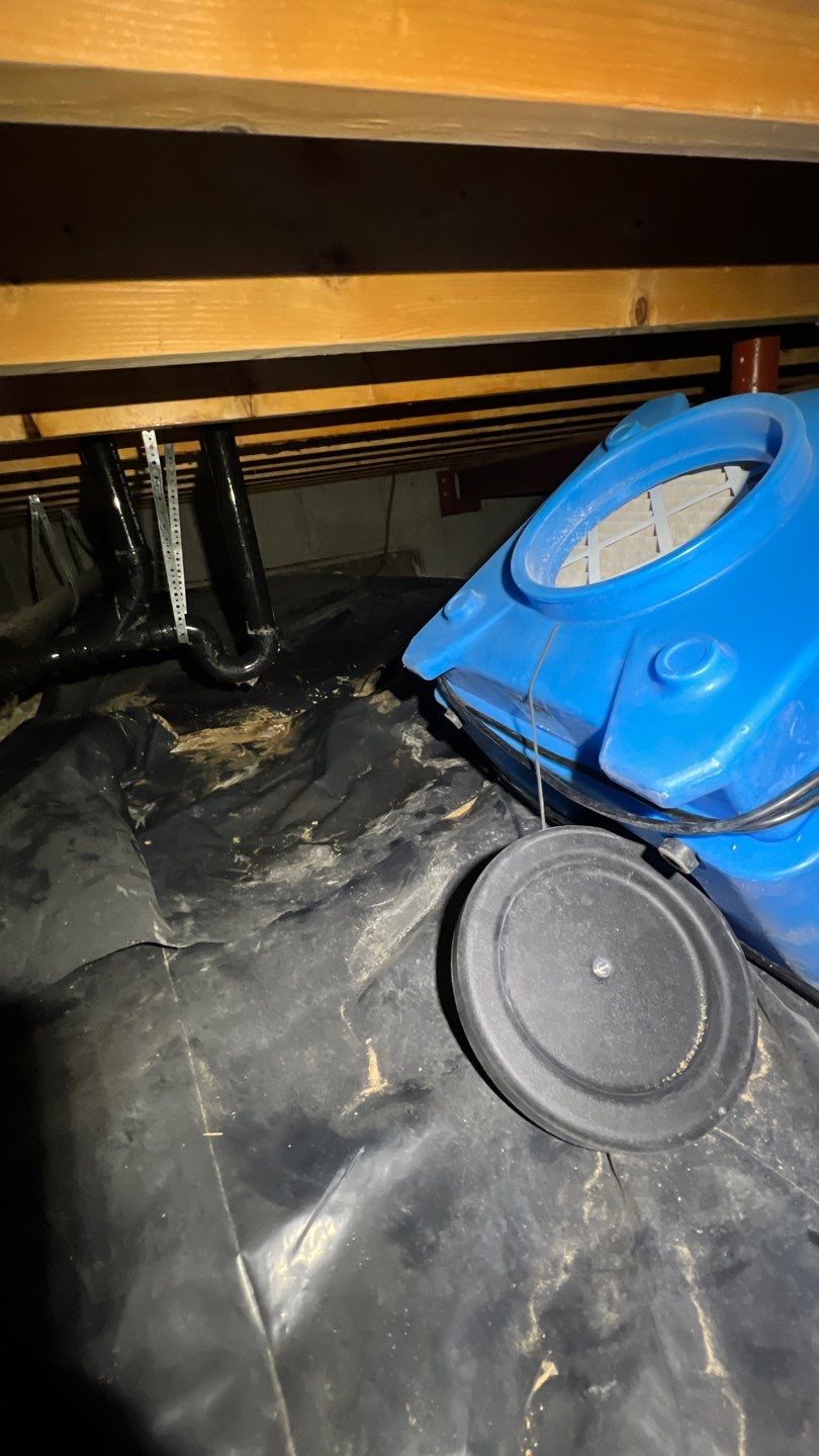 Mold Damage by Accountable Home Services