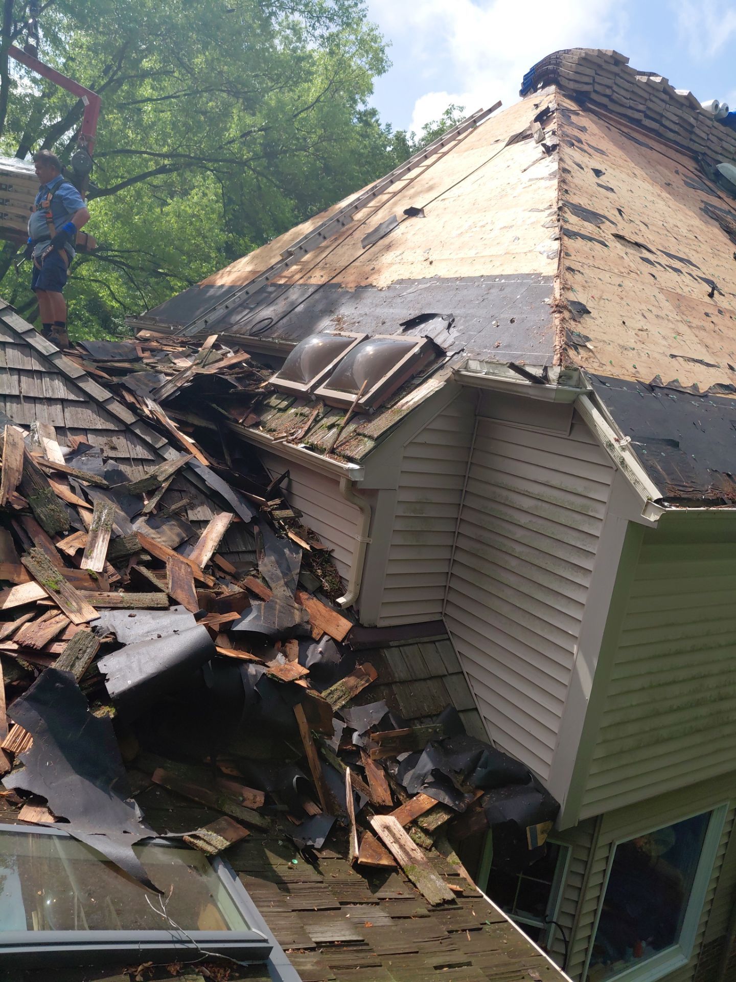 Springfield: Roof Replacement with CertainTeed Landmark Pro in Max Def Evergreen by RM Banning, Inc.