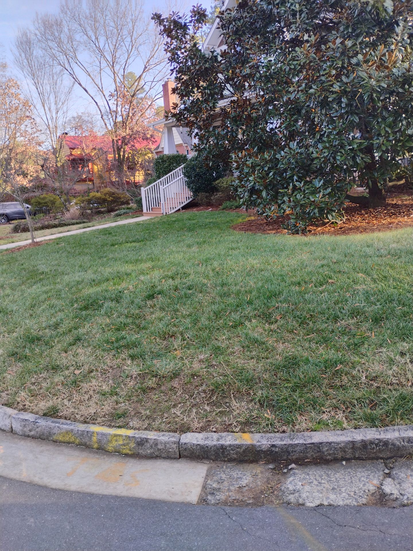 Yard cleanup in Durham by Martinez Brother’s Nc Landscaping Inc