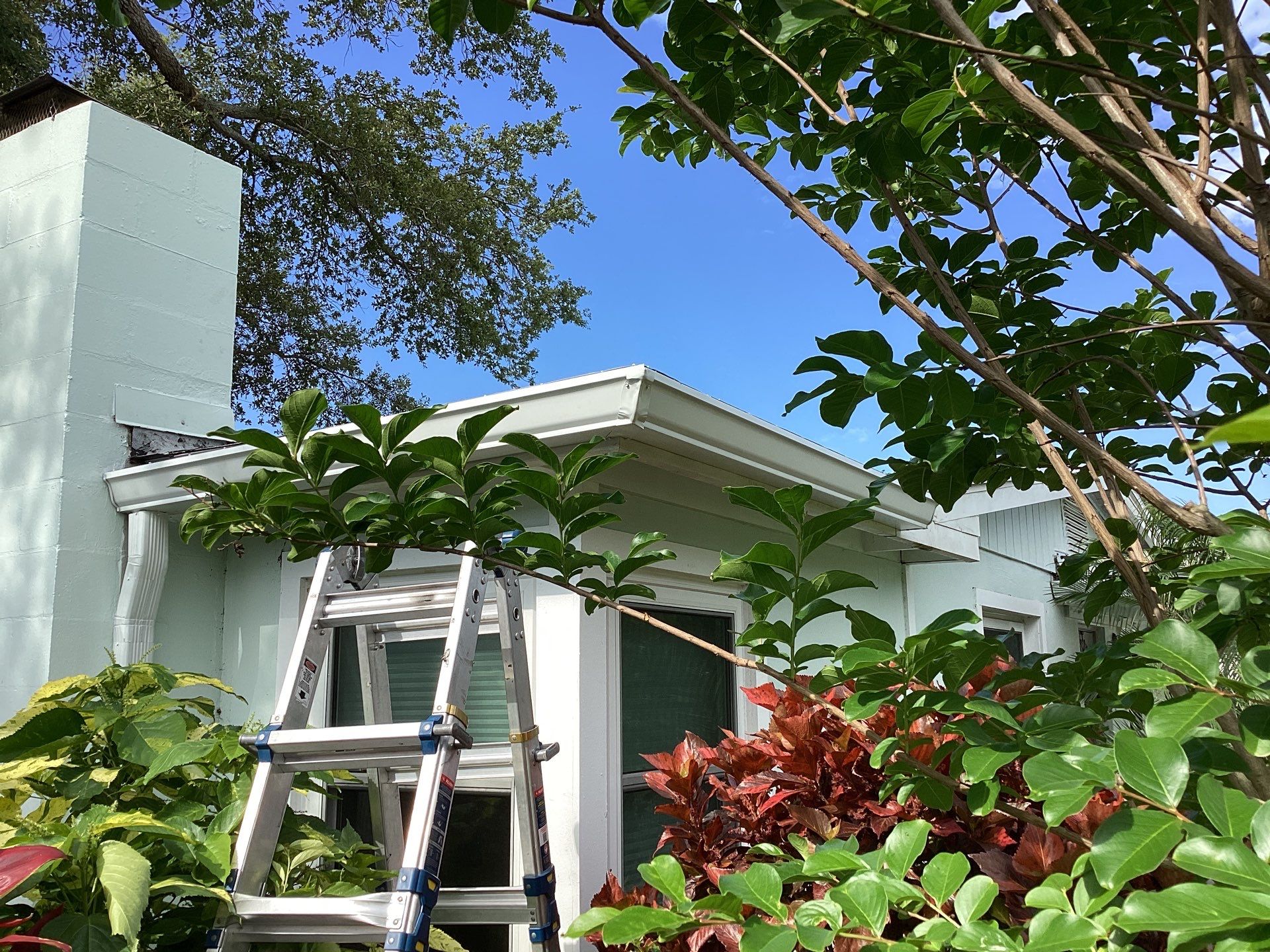 Elegant 7-Inch Seamless Gutters in Sarasota FL in Sarasota FL by Gutter Professors