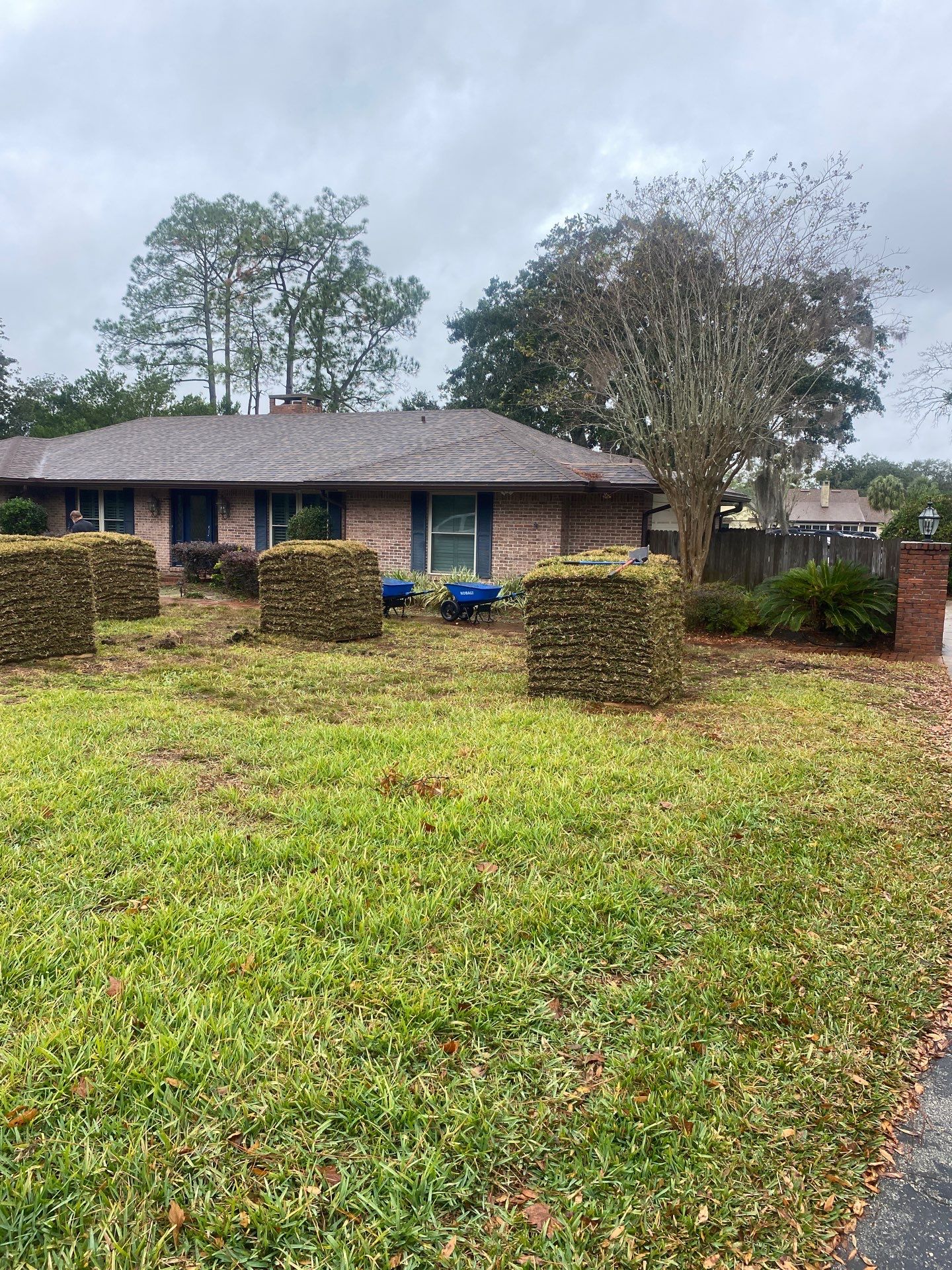 Deerwood Resident | Sod Replacement by ProGreen Services