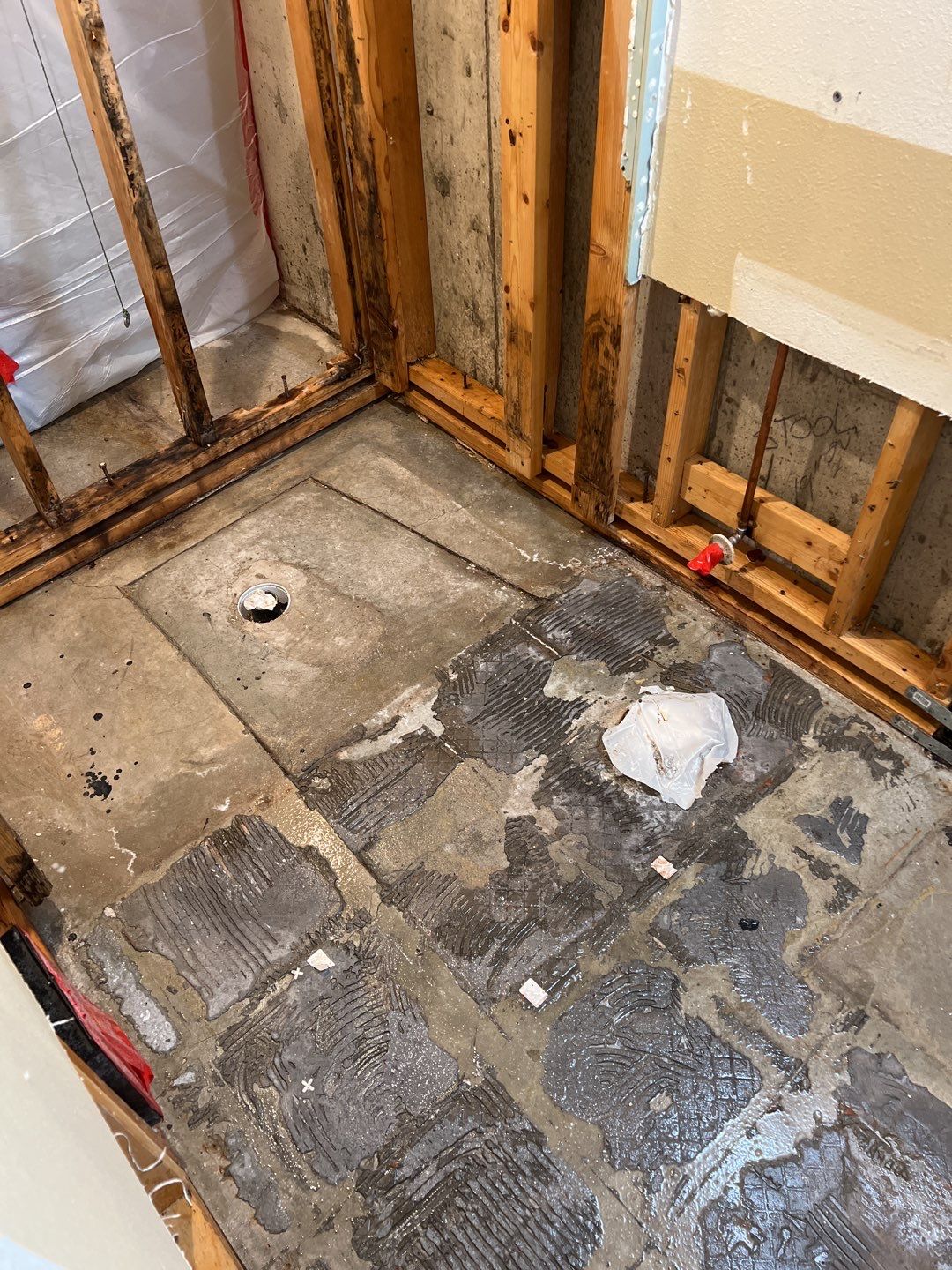 Mold Remediation by Accountable Home Services