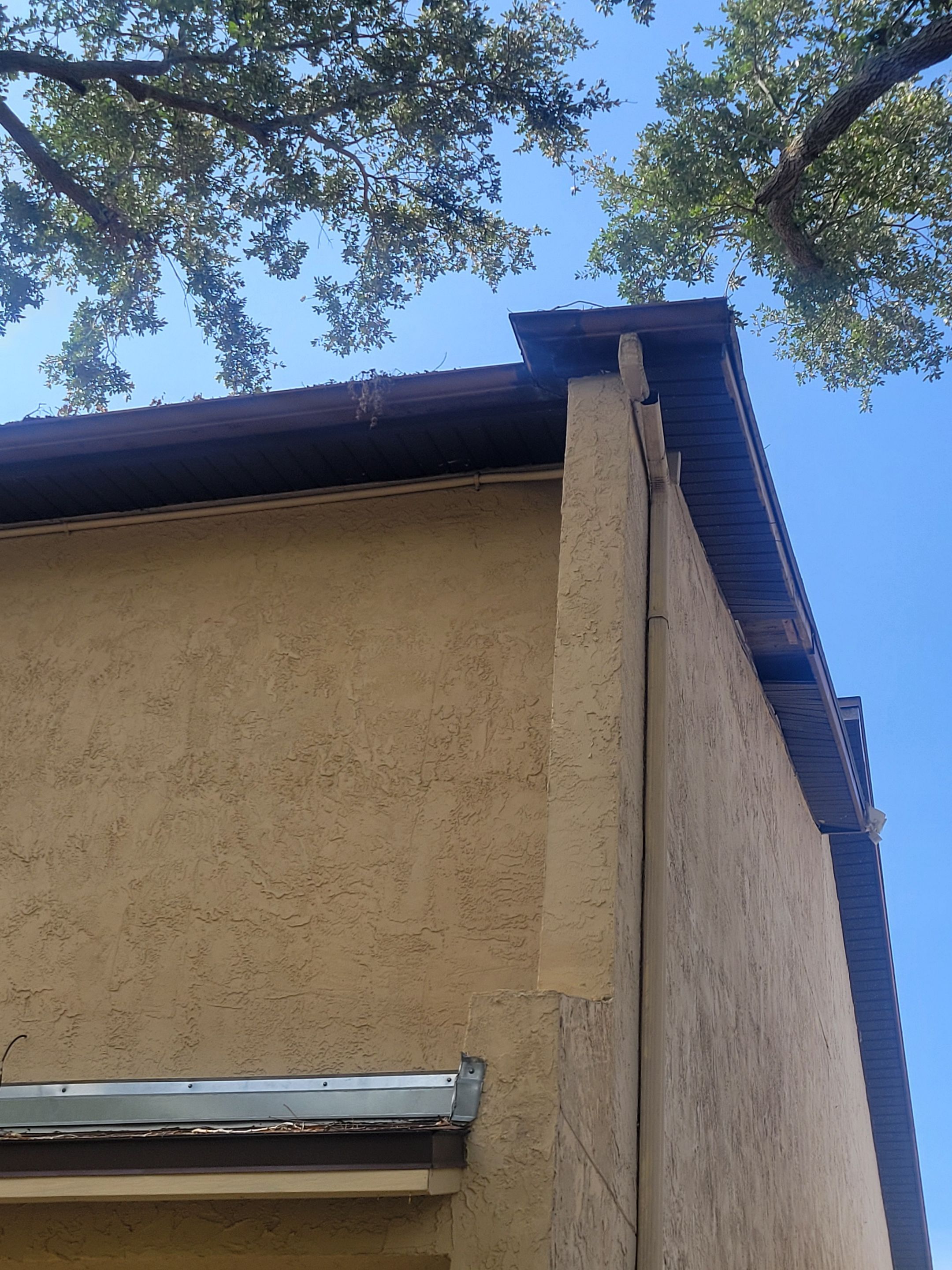 Gutter Cleaning and Inspection in Tampa FL by Gutter Professors