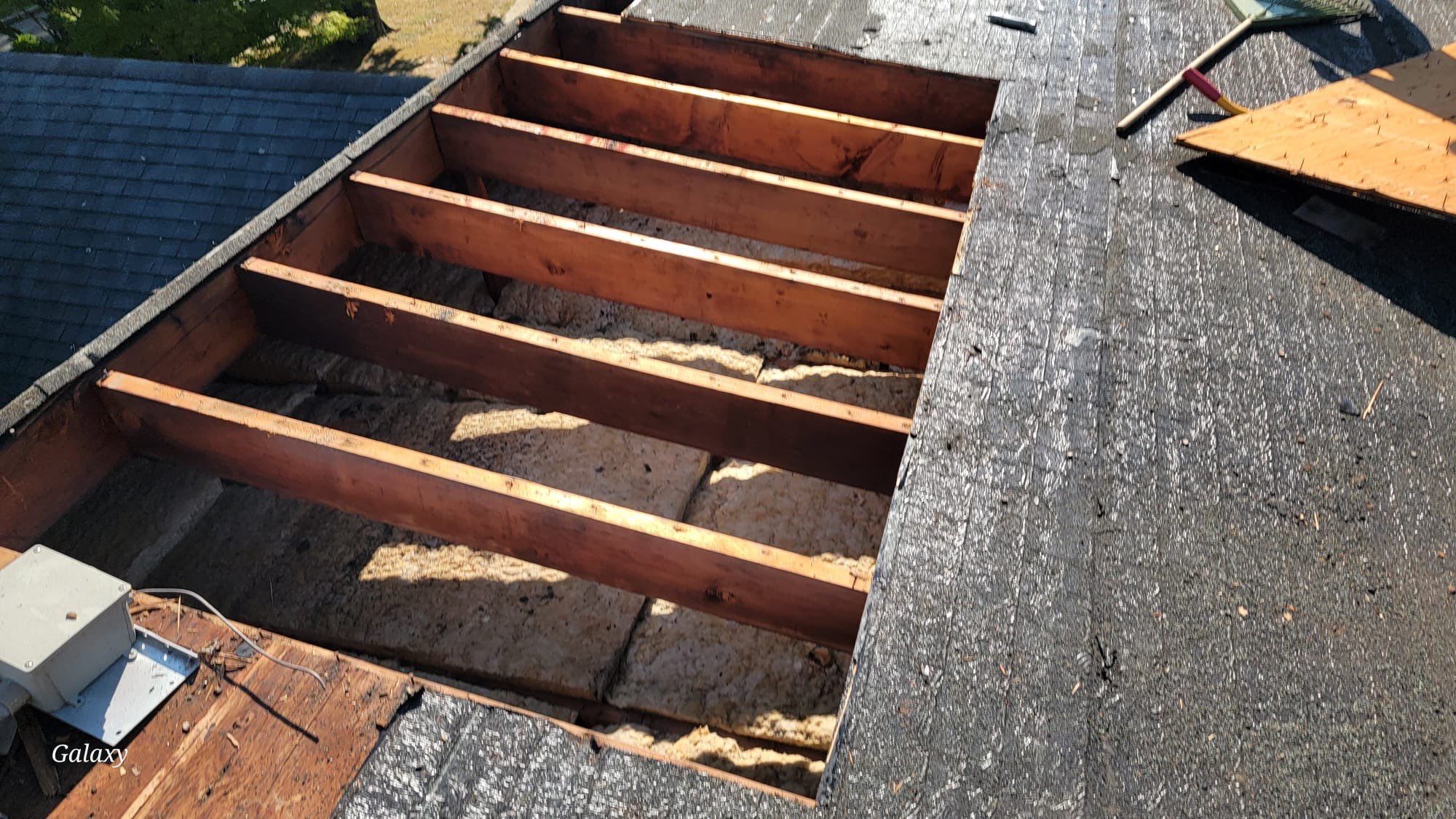 Silver Birch Shingles by Reimagine Roofing