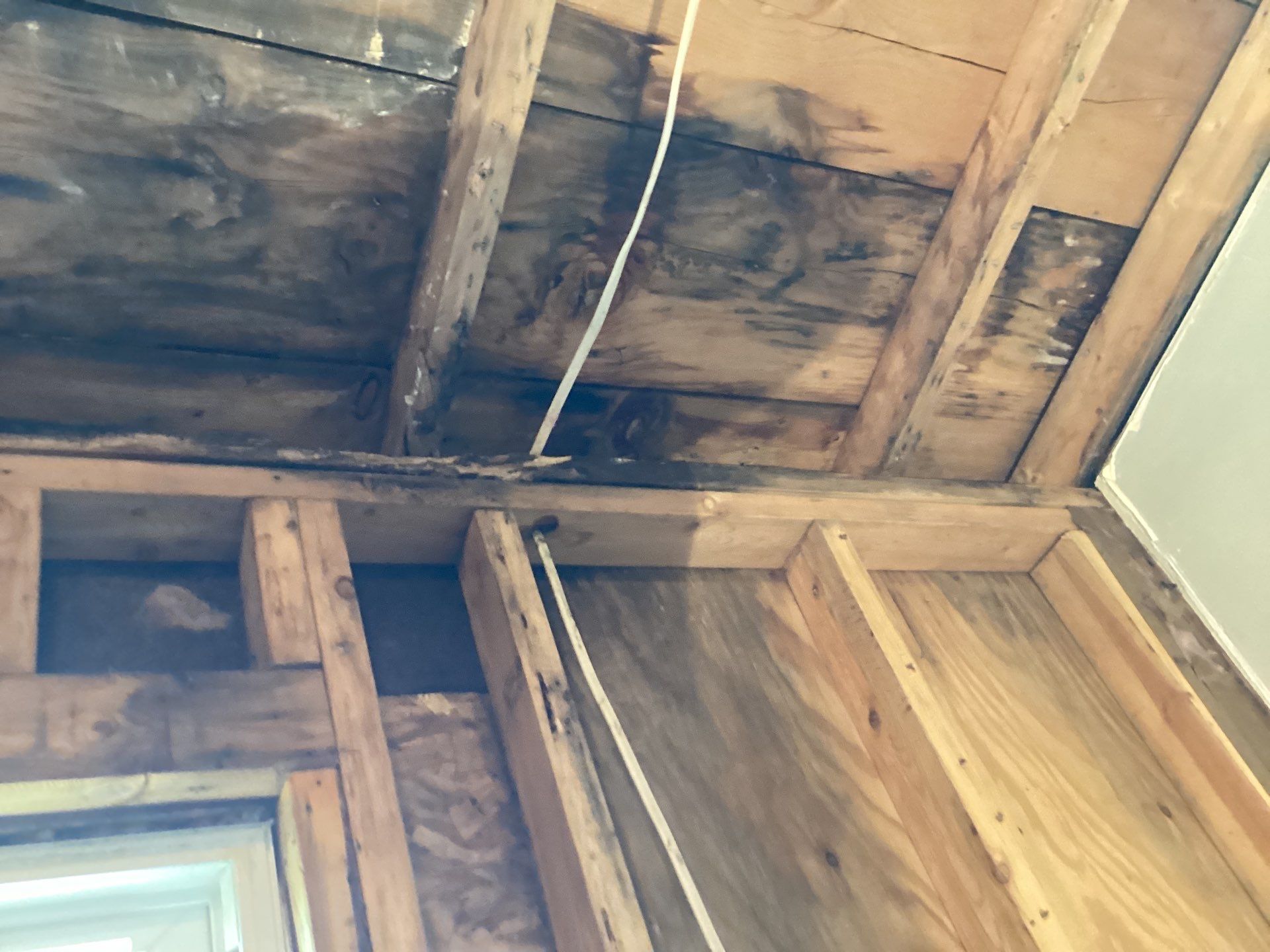 Project in Parker City by Trident Restoration, Inc