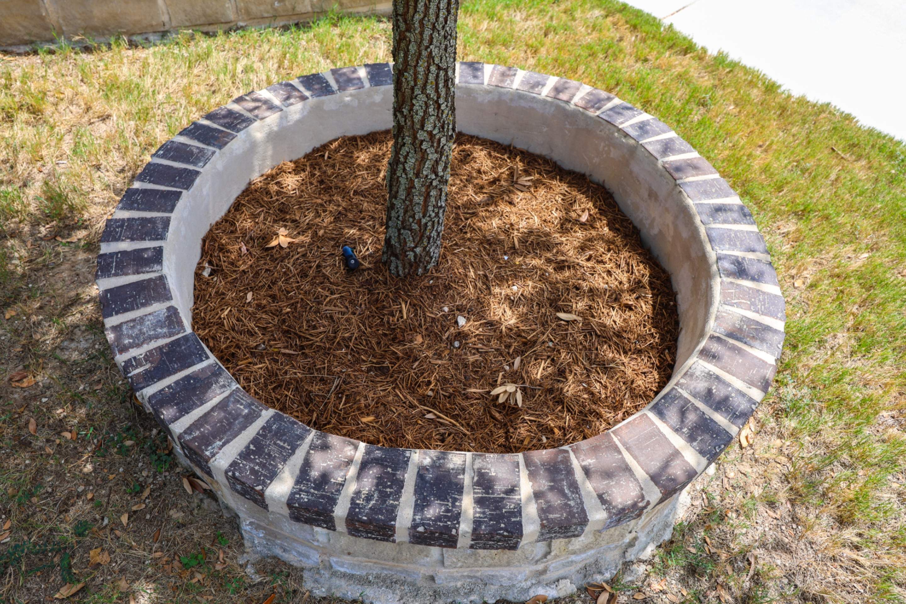 Wortham Oaks - San Antonio, TX by Hole In One Lawns, LLC