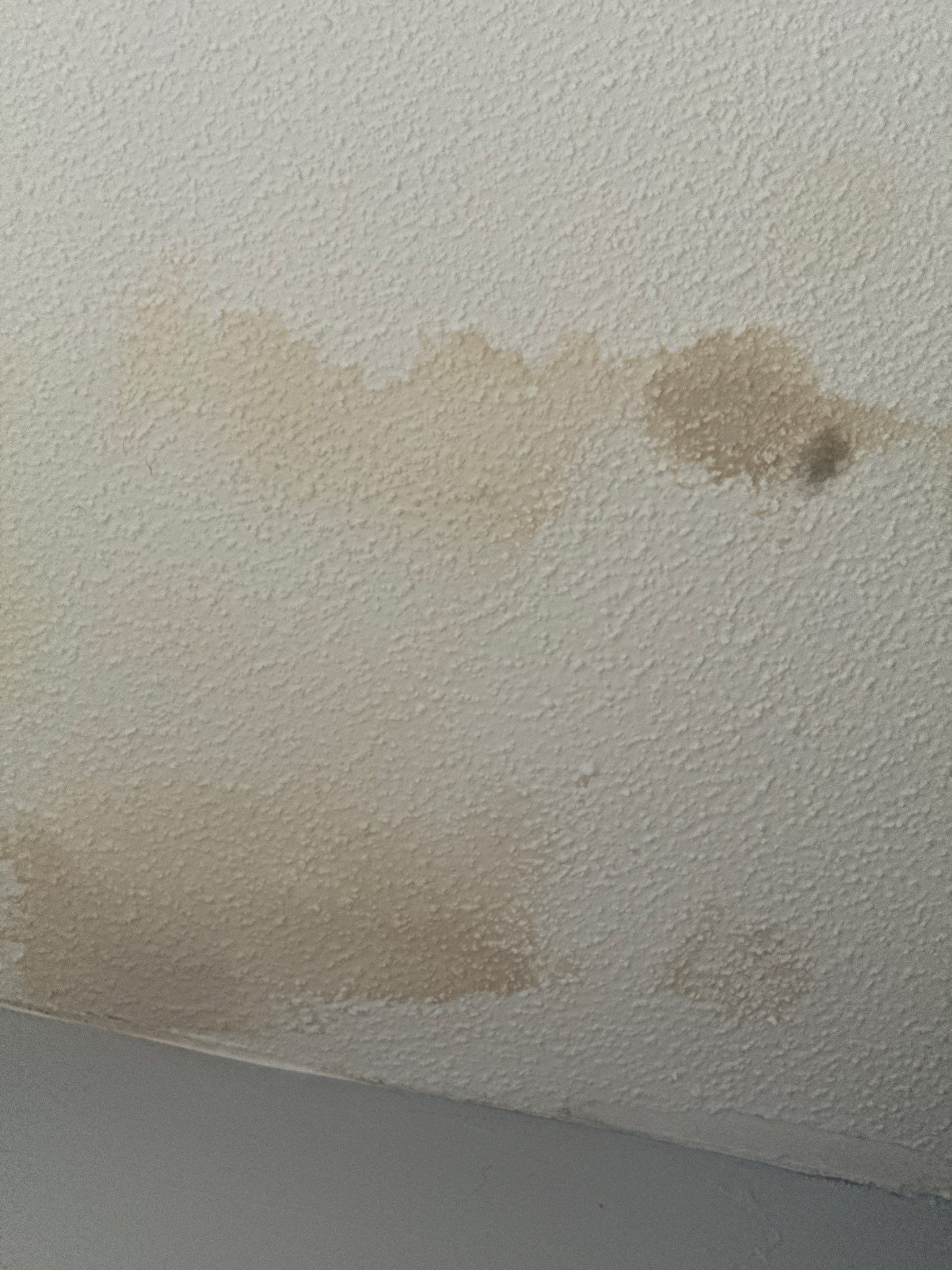 Interior Drywall Repair and Whole-Home Painting in Muskegon Heights by Gordon Painting