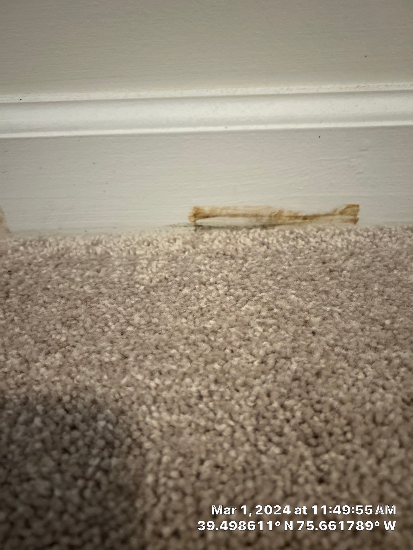 Water Damage Inspection & Basement Dryout – Middletown, DE by Healthy Home Solutions