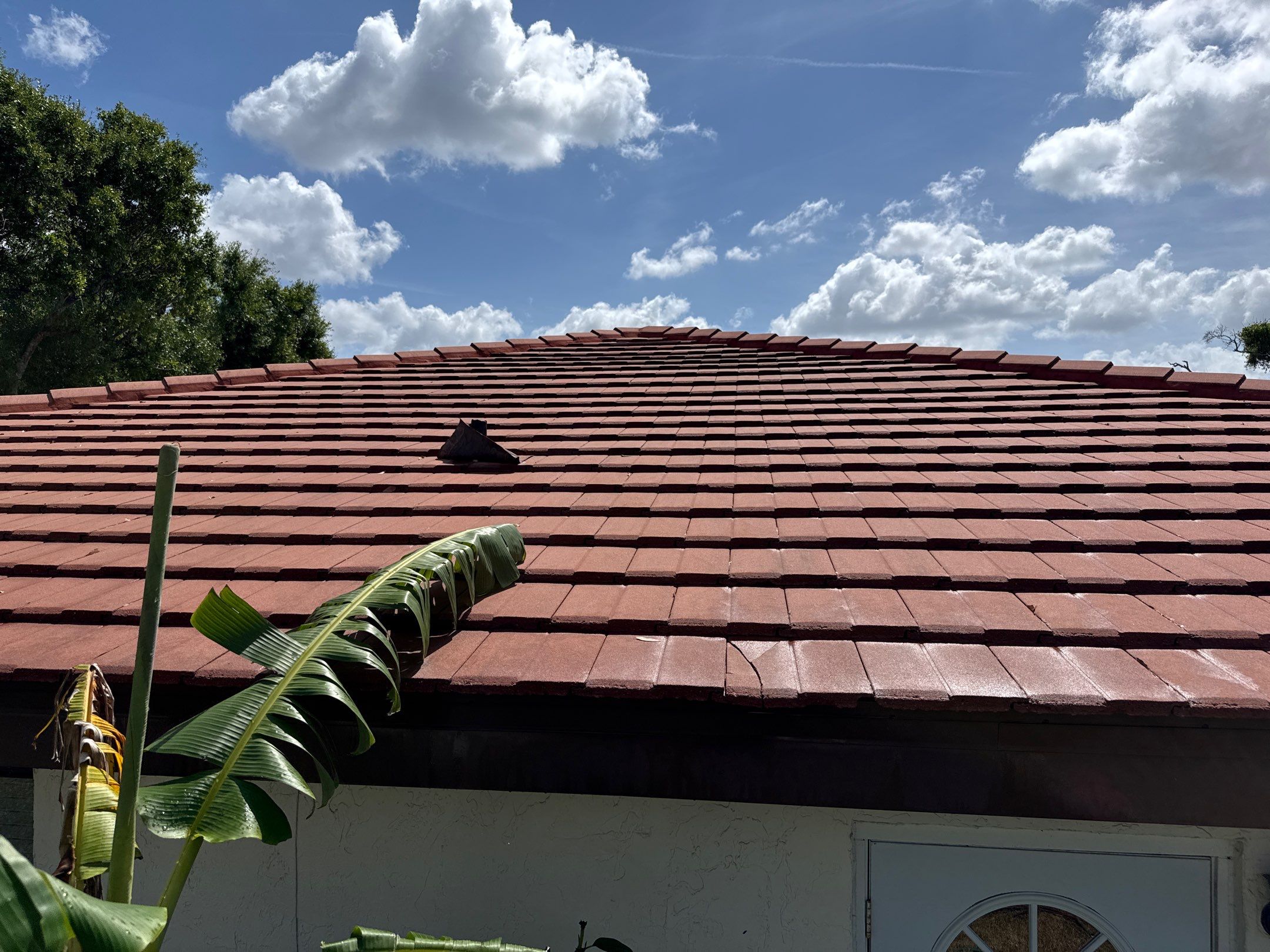 Tile Roof Cleaning in Vivienda at Bradenton, FL | No Roof Walking Method by Sunshine AquaWash