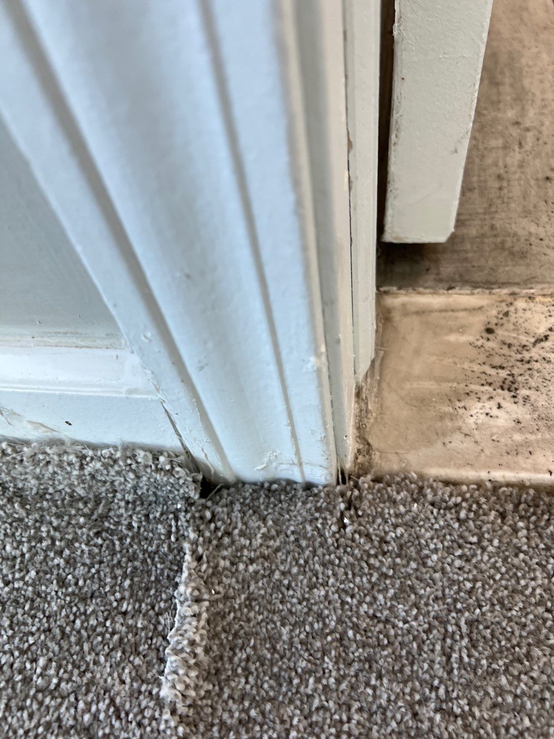 Project in Novi by EzDry Water Mitigation & Property Restoration