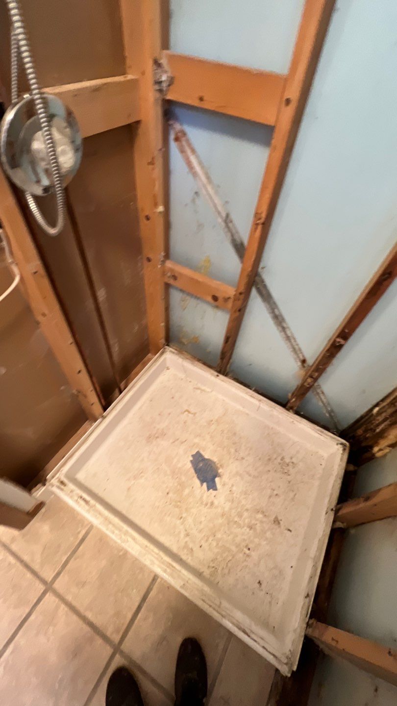 Water Damage and Mold Remediation by Accountable Home Services