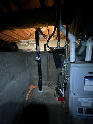 Project in Portland