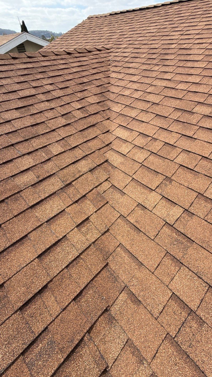 Asphalt Shingle Roof Rejuvenation and Vent Sealing in San Diego by Reliable Roofing San Diego Inc.