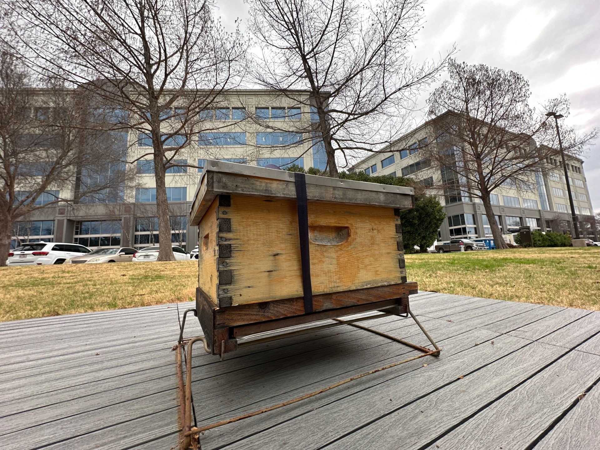 Platform Precious Population by Rockwall Honey Bee Company