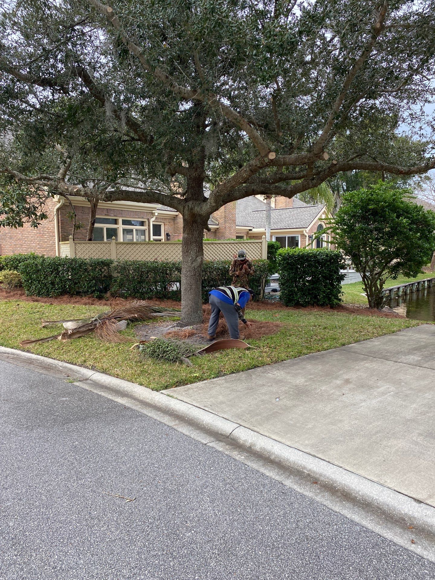 Deerwood Pointe | Tree Removal & Pine Straw Installation by ProGreen Services