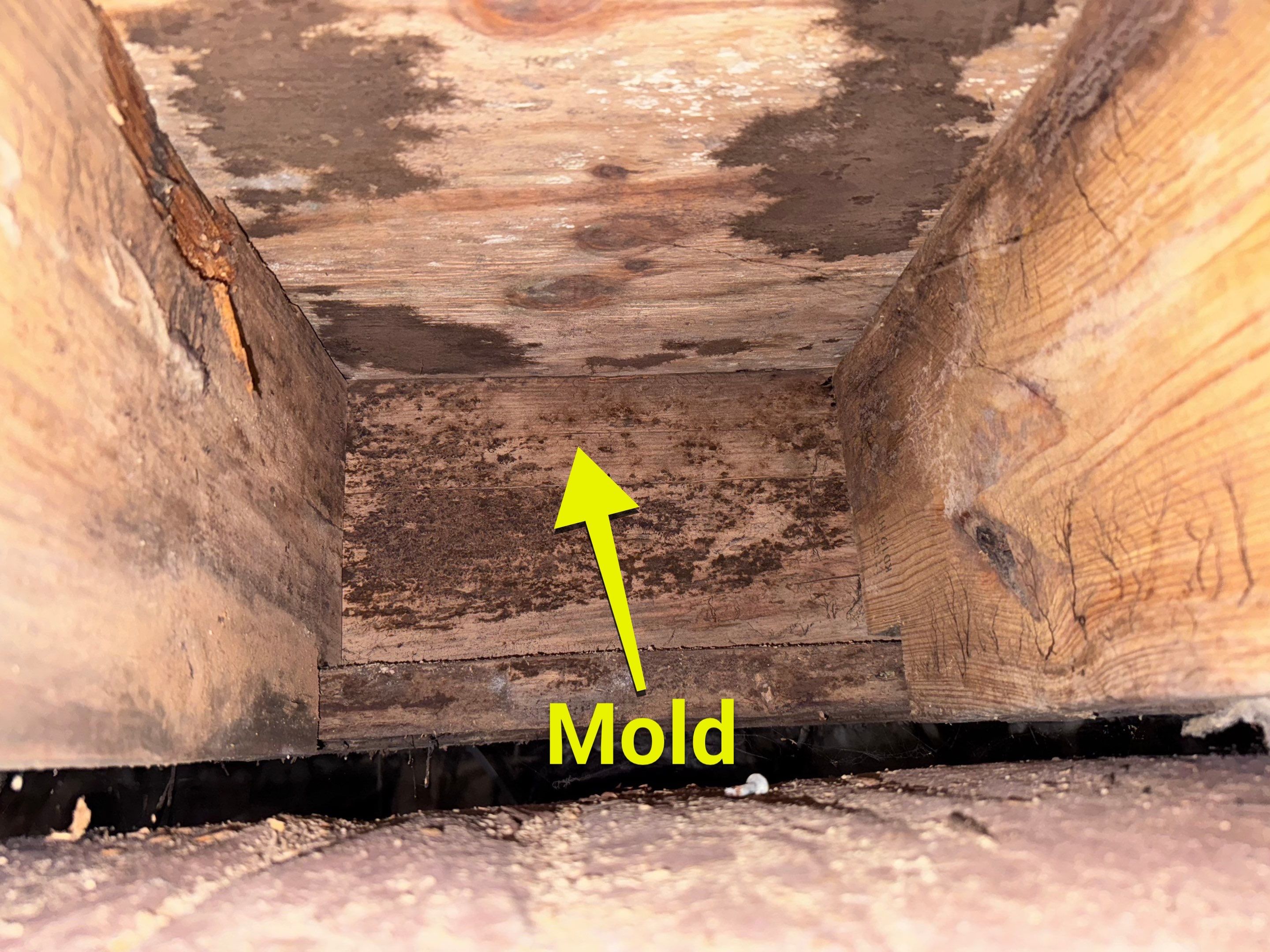 Structural Repairs inludiing sub-floor removal, new floor joists installed, girder replacmeent and dropped girder installed. by Impact Crawlspace
