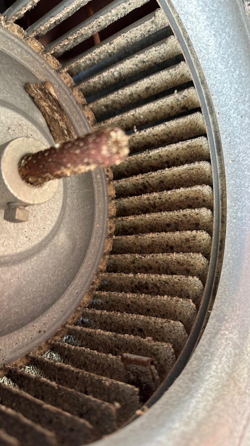 Air Duct Cleaning in Tavares by Hygienic Air, Inc