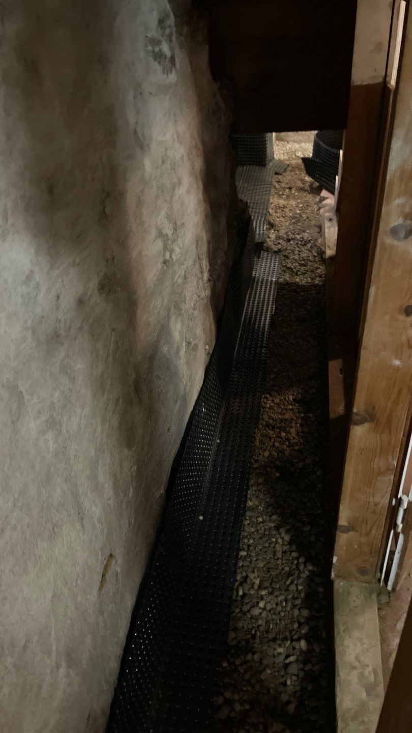 Full Basement Fix for Steve and Lisa by Waterproofing Northeast