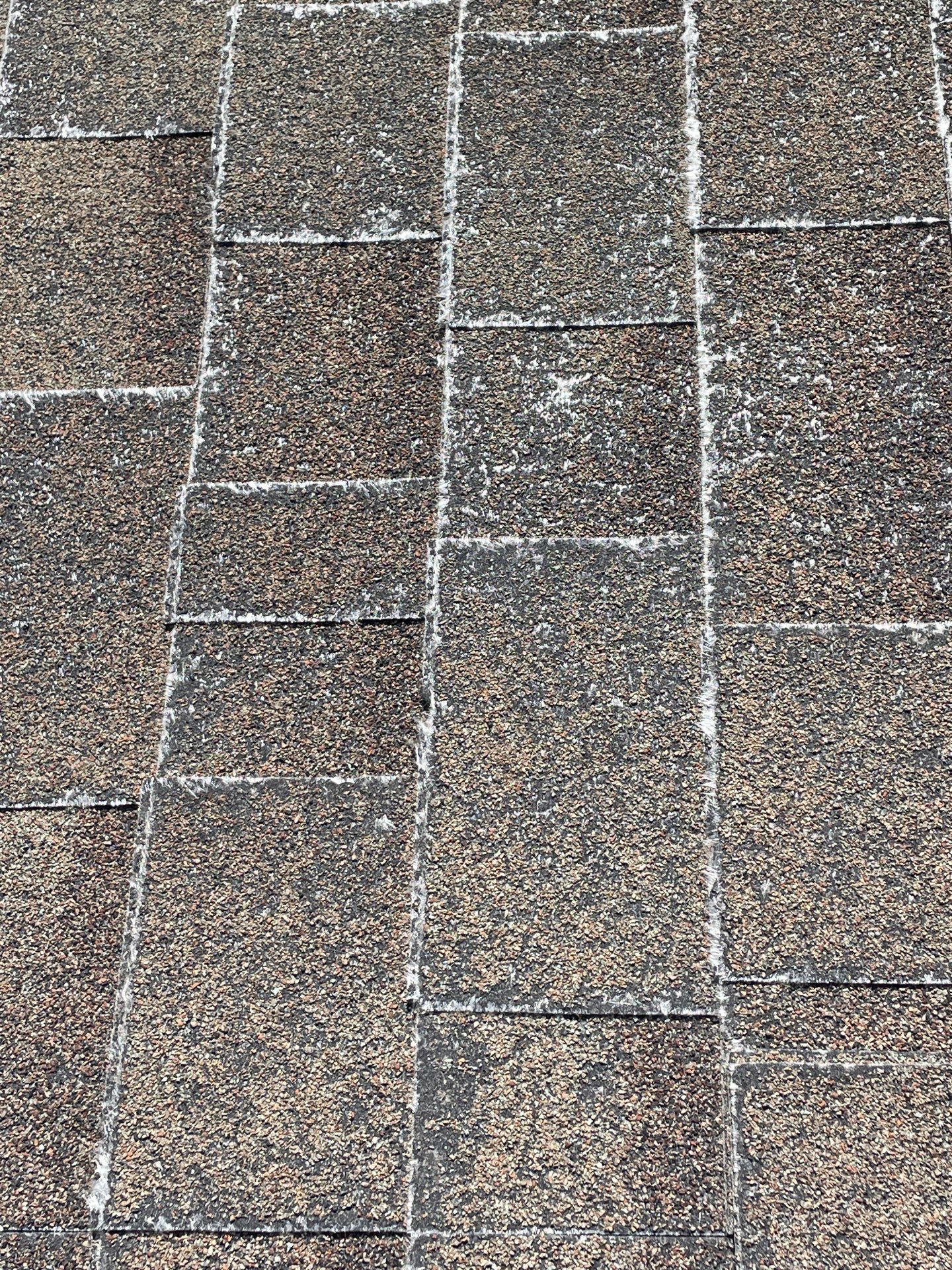 Roof Rejuvenation using Roof Maxx Treatment by Roof Maxx of Folsom