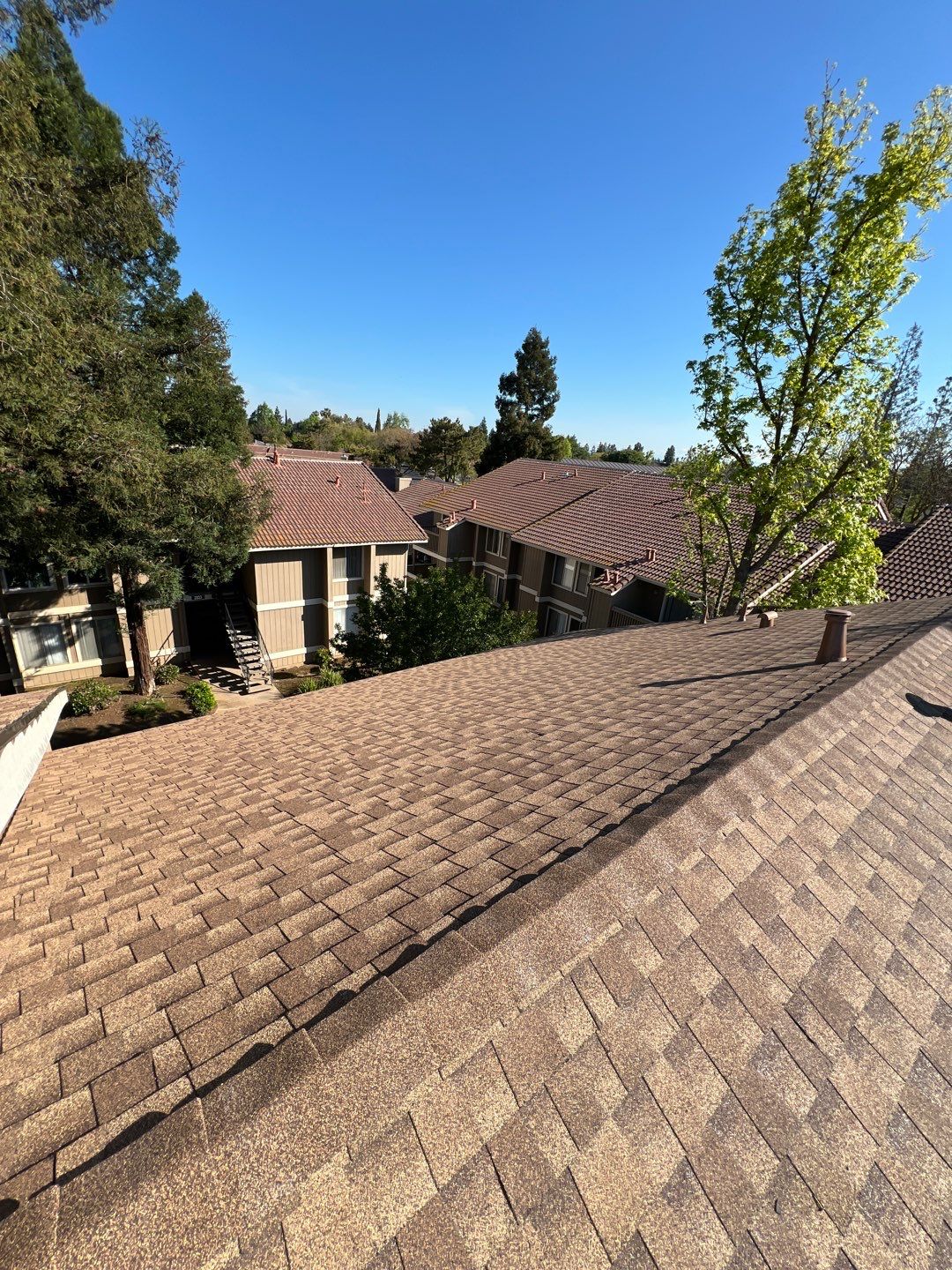 Removed tile from roof and replaced with shingles by Straight Edge Roofing Inc
