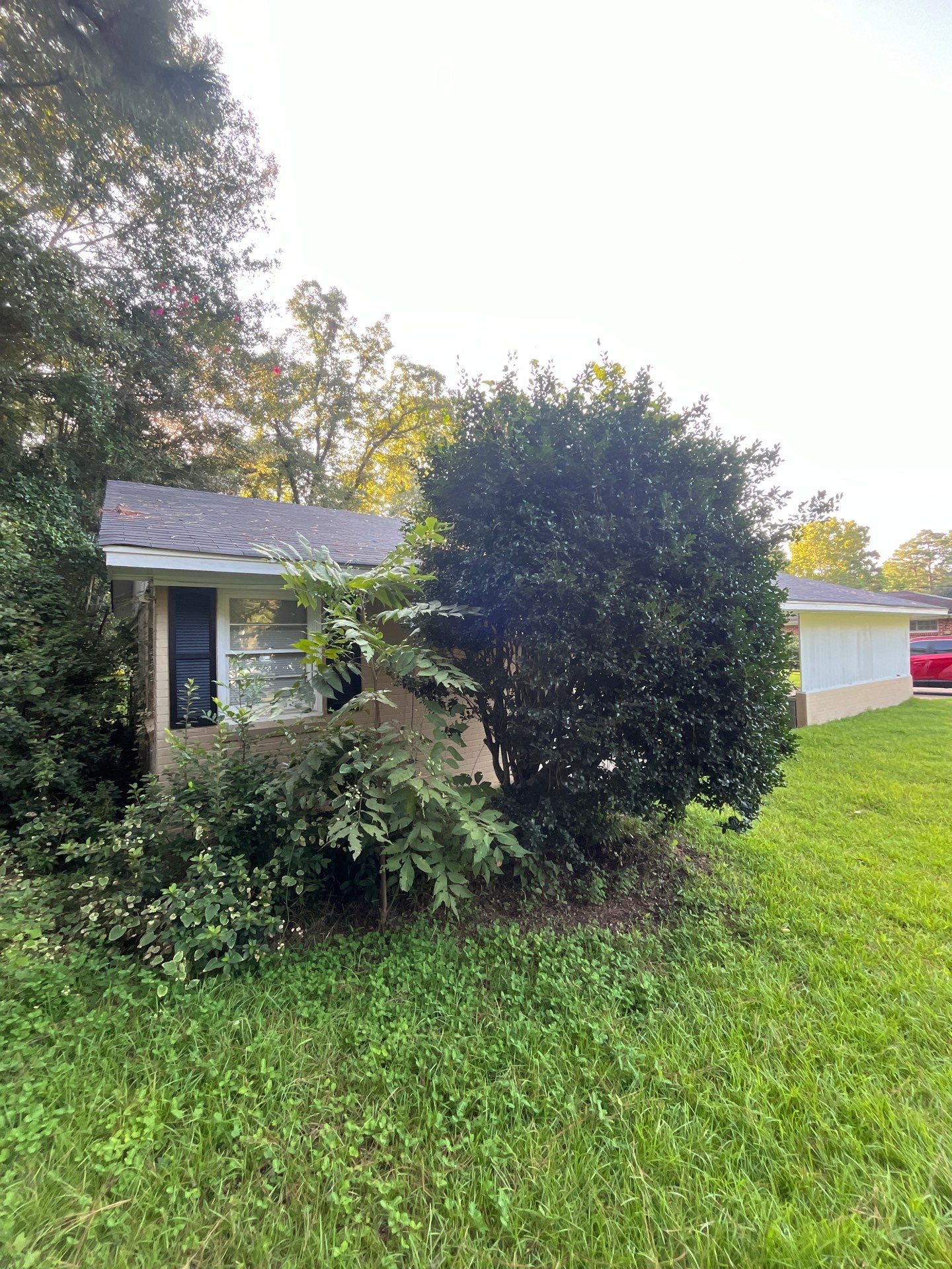 Yard Makeover by College Bros Outdoor services