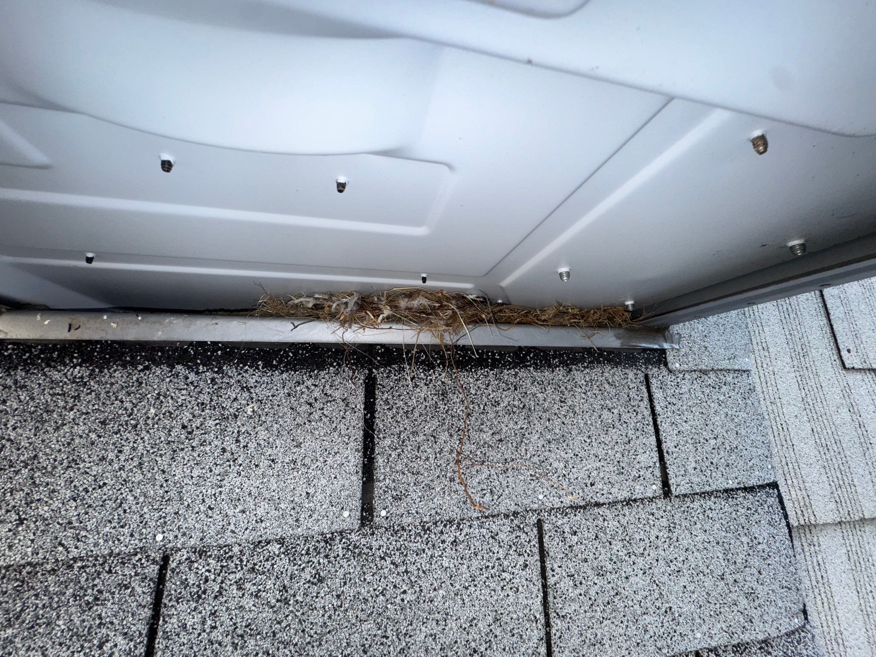 Project in Queens  by NYC Extermination LLC