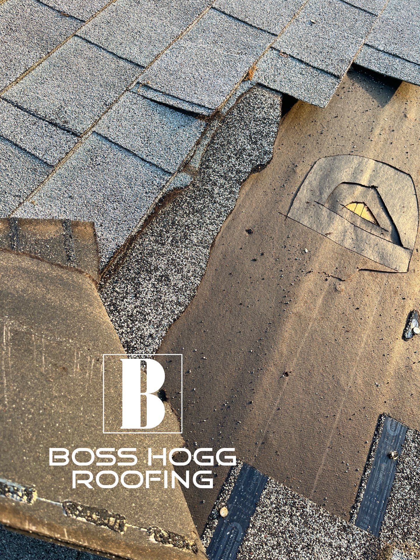 SUSAN G by Boss Hogg Roofing