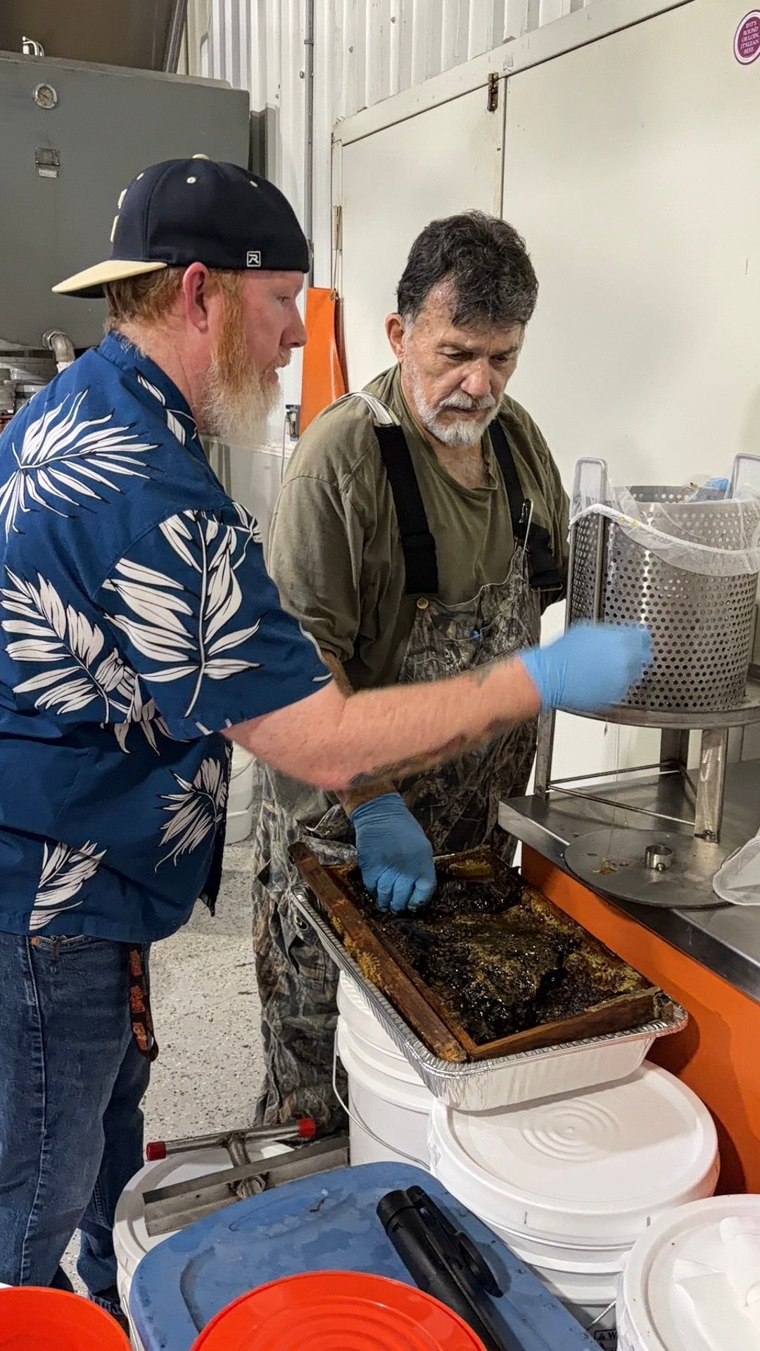 Project in Royse City, TX by Rockwall Honey Bee Company