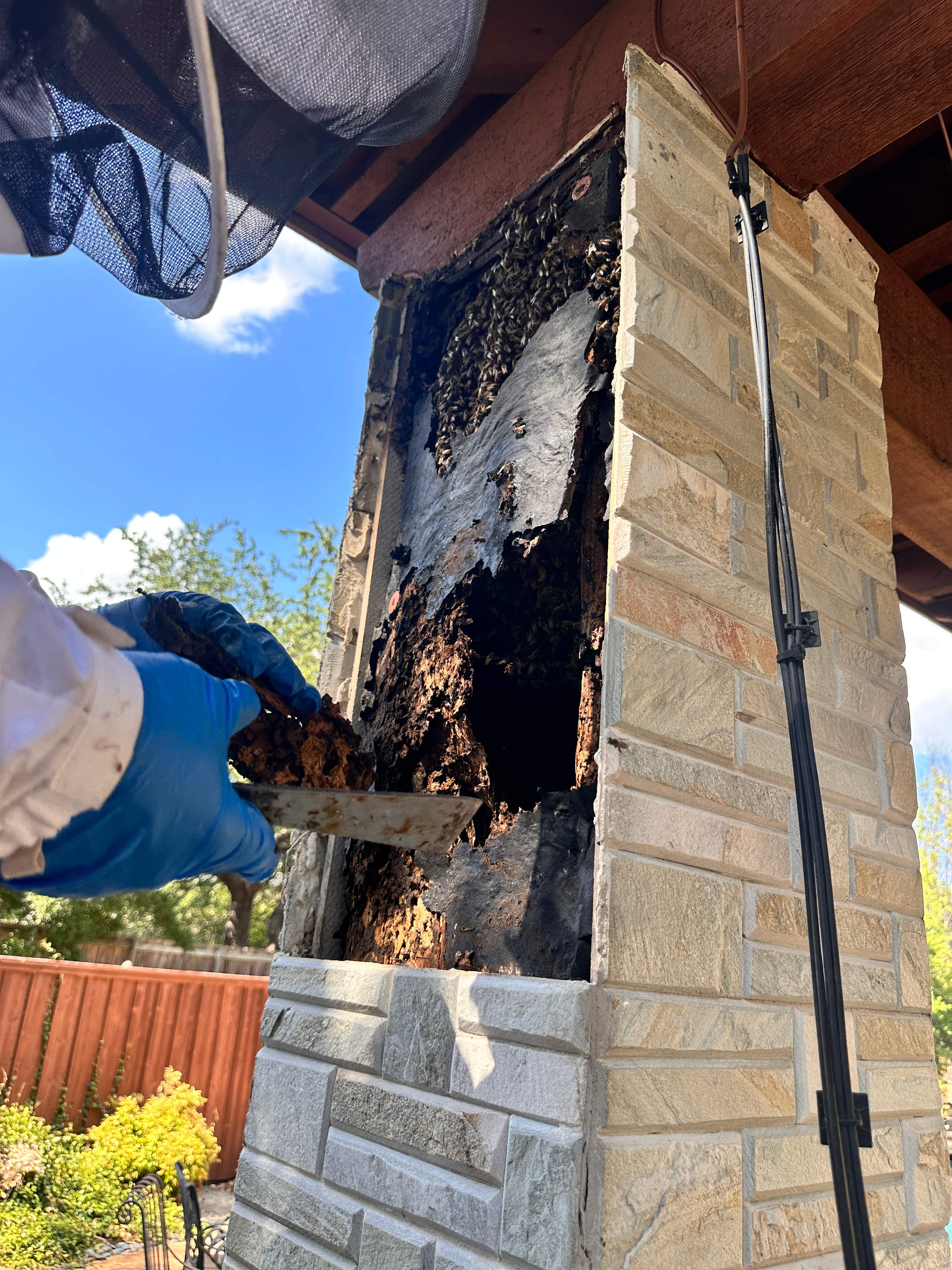 Scary Pergola by Rockwall Honey Bee Company