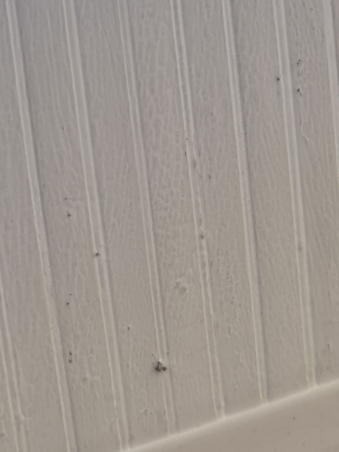 Clean Gutters and Downspouts by RTP Roofing Company