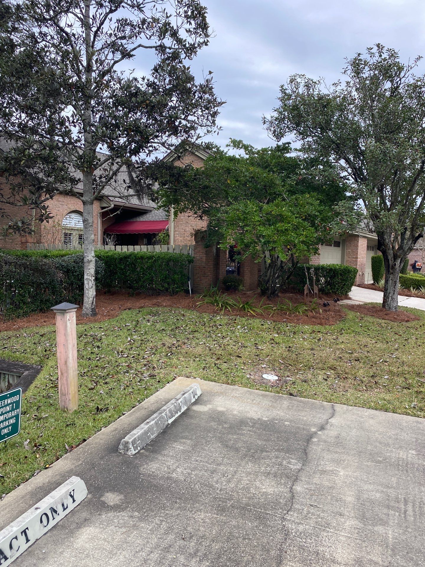 Deerwood Pointe | Tree Removal & Pine Straw Installation by ProGreen Services