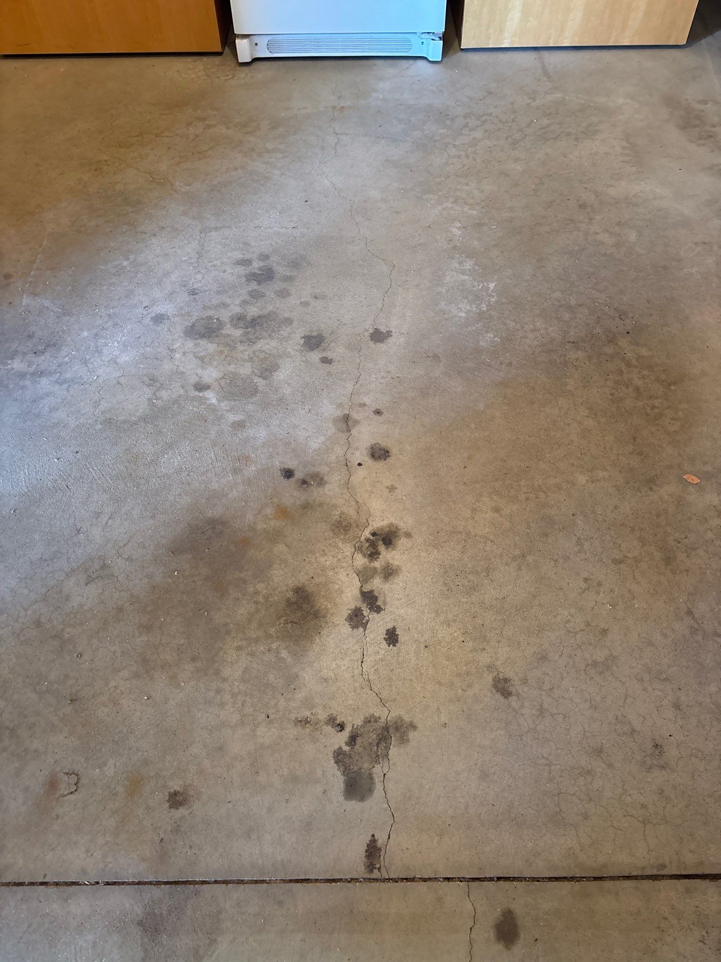 Garage by Freedom Concrete Coatings. 
