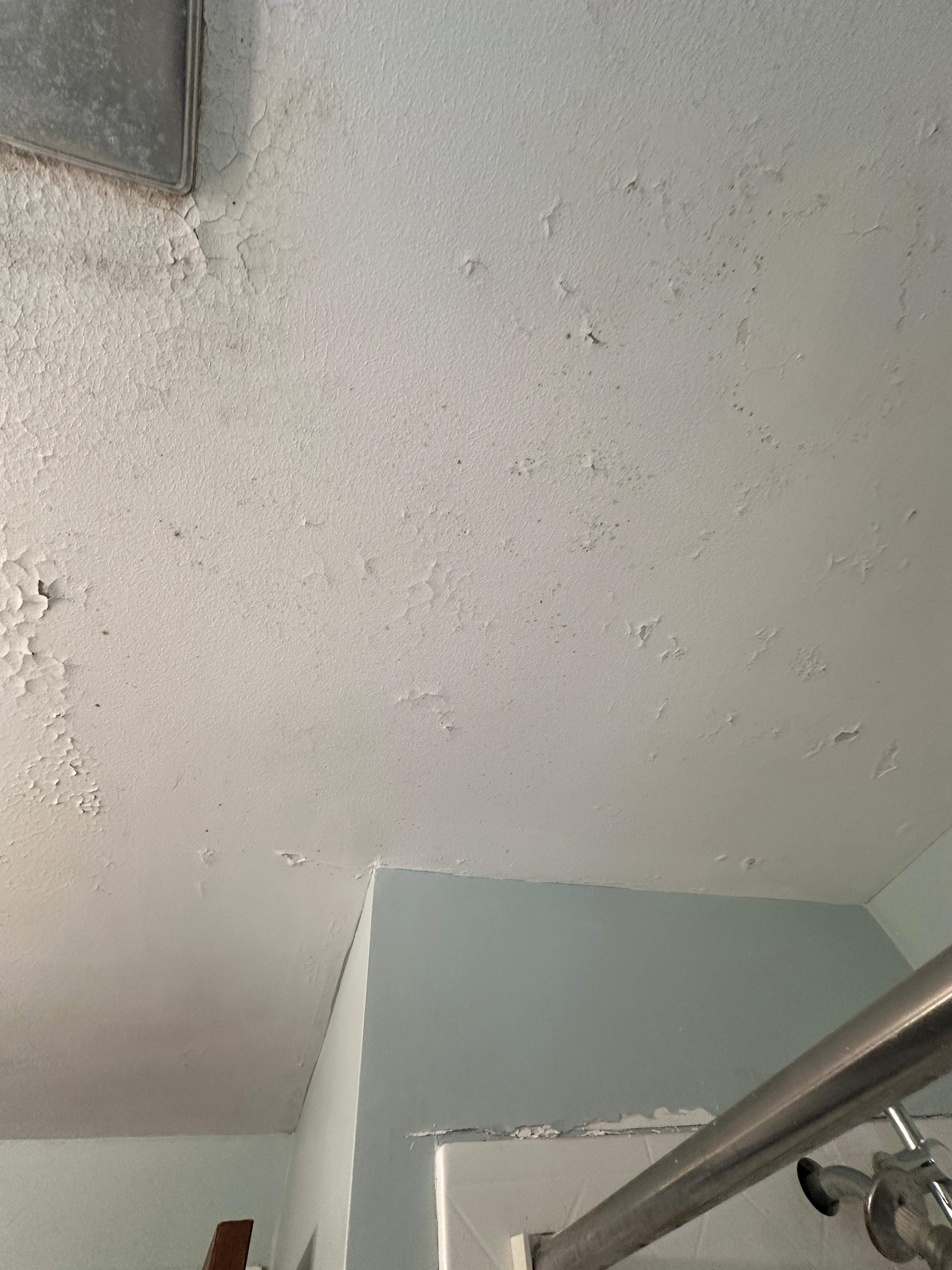 Bathroom Mold Remediation by Home Guarantee, LLC
