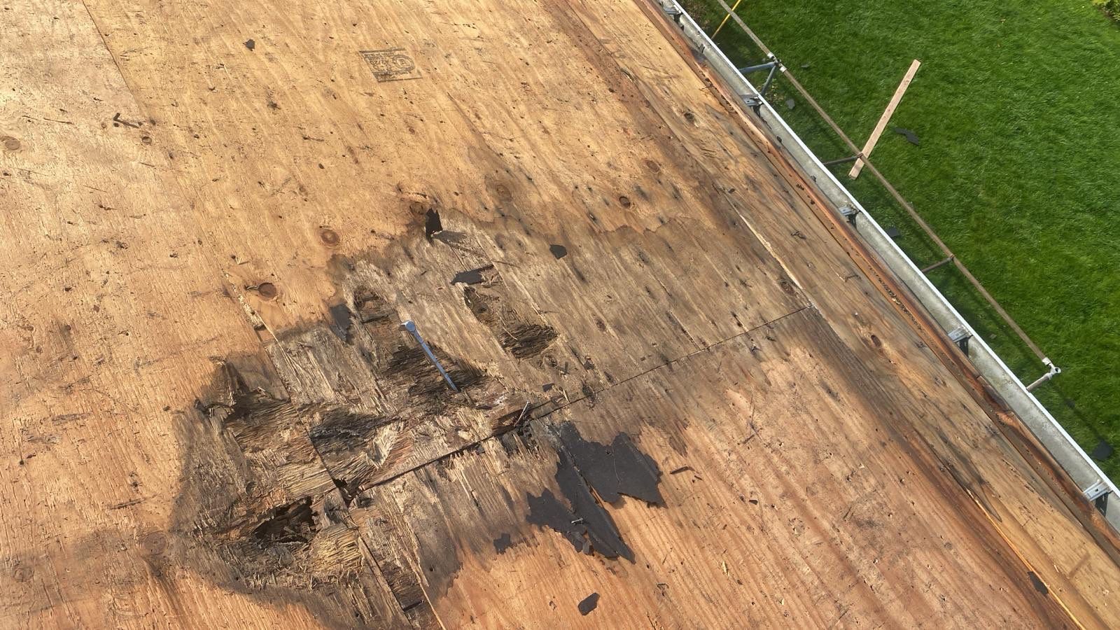 Silver Birch Shingles by Reimagine Roofing
