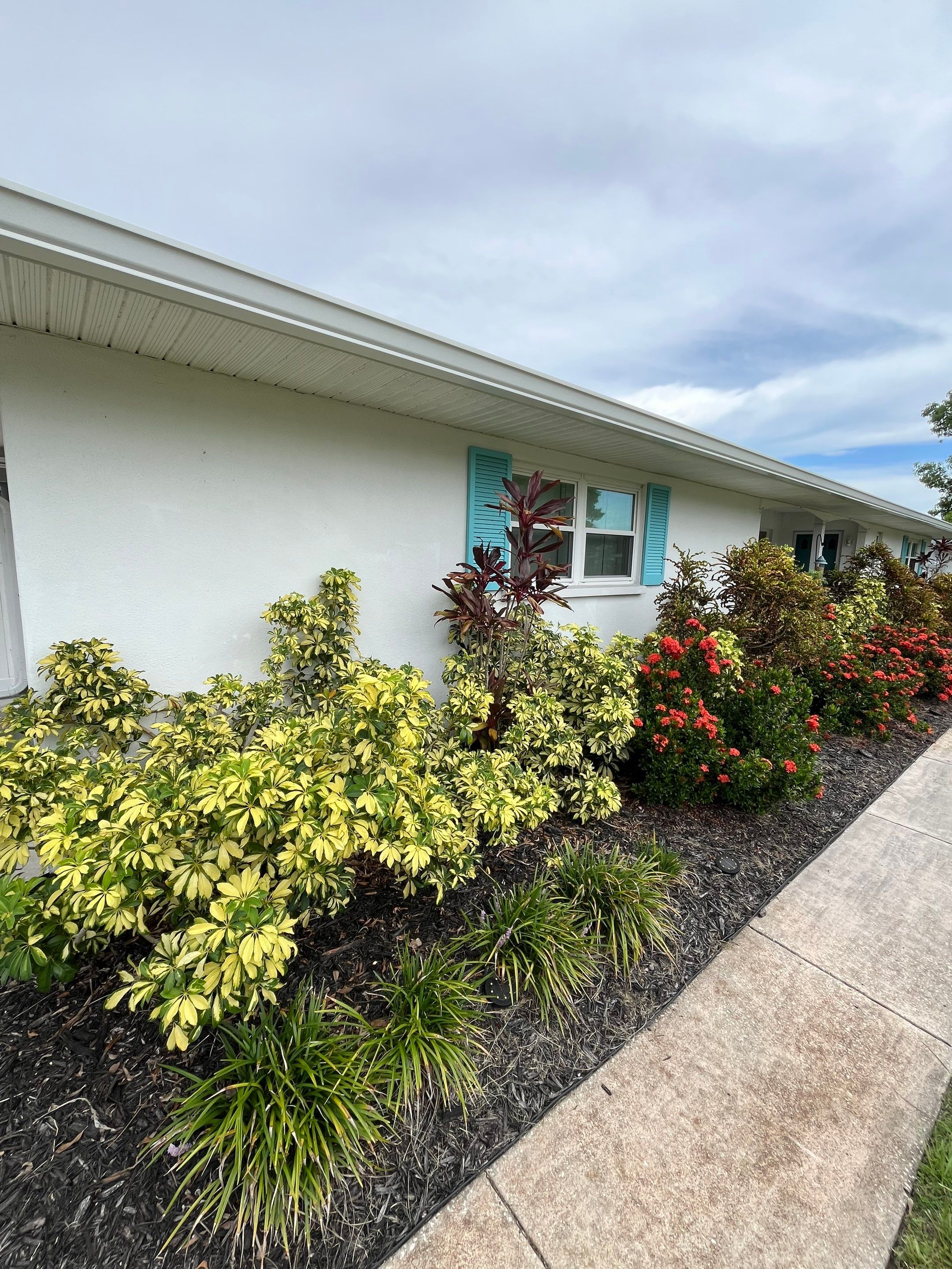 High-Performance Seamless Gutters Installed in Sarasota FL by Gutter Professors