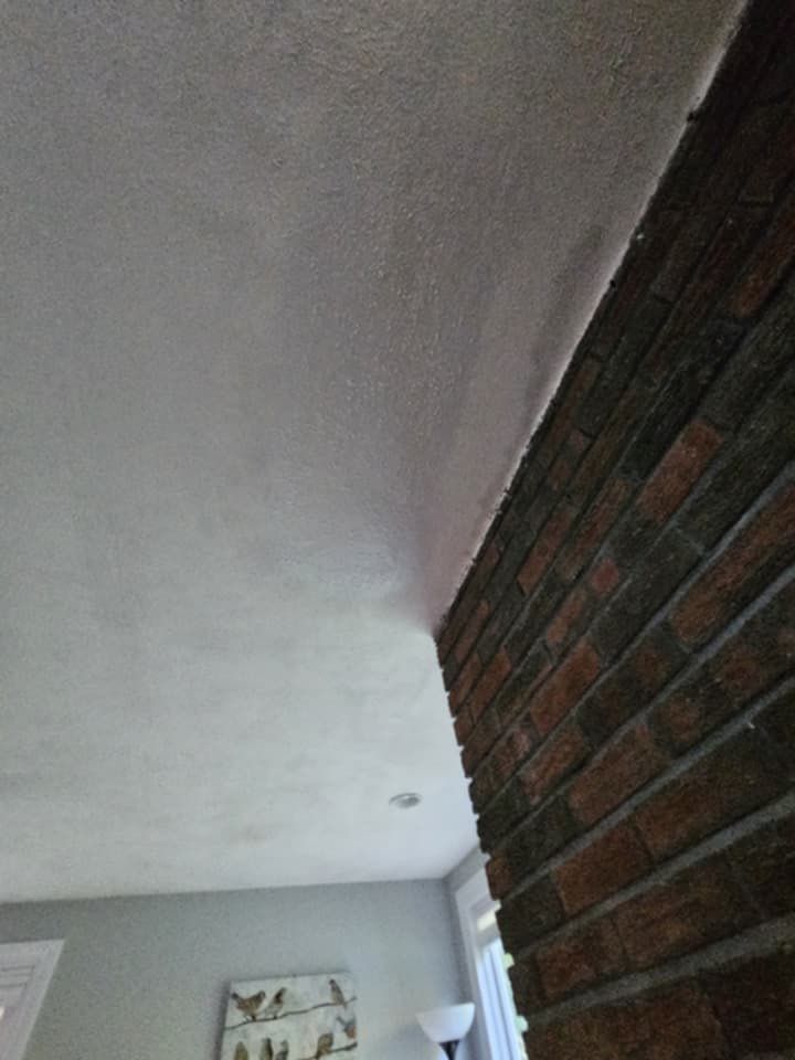 Skylight Replacement & Chimney Repair by Mighty Dog Roofing of Greater Middlesex County