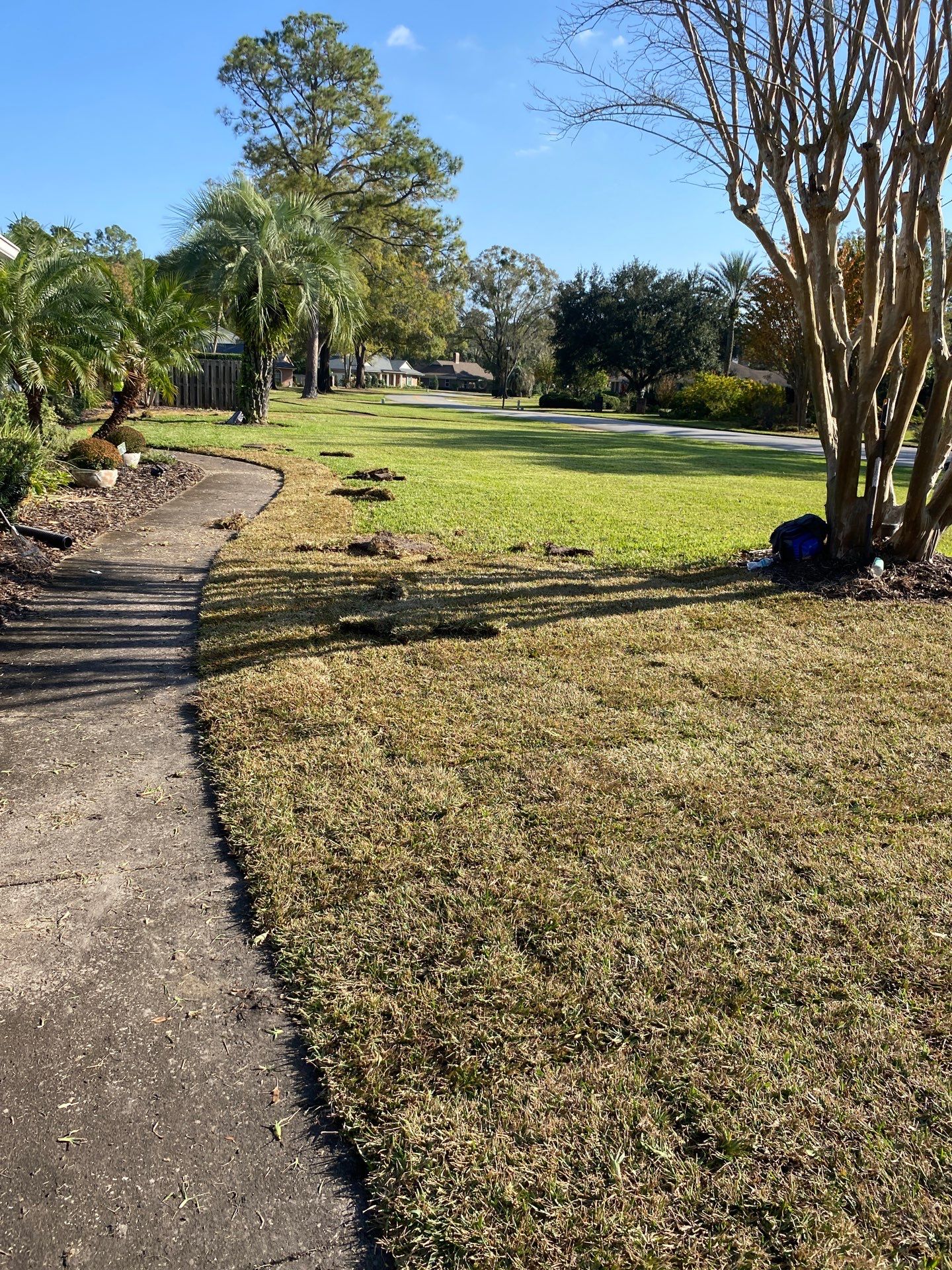 Deerwood Resident | Winter Sod Replacement by ProGreen Services